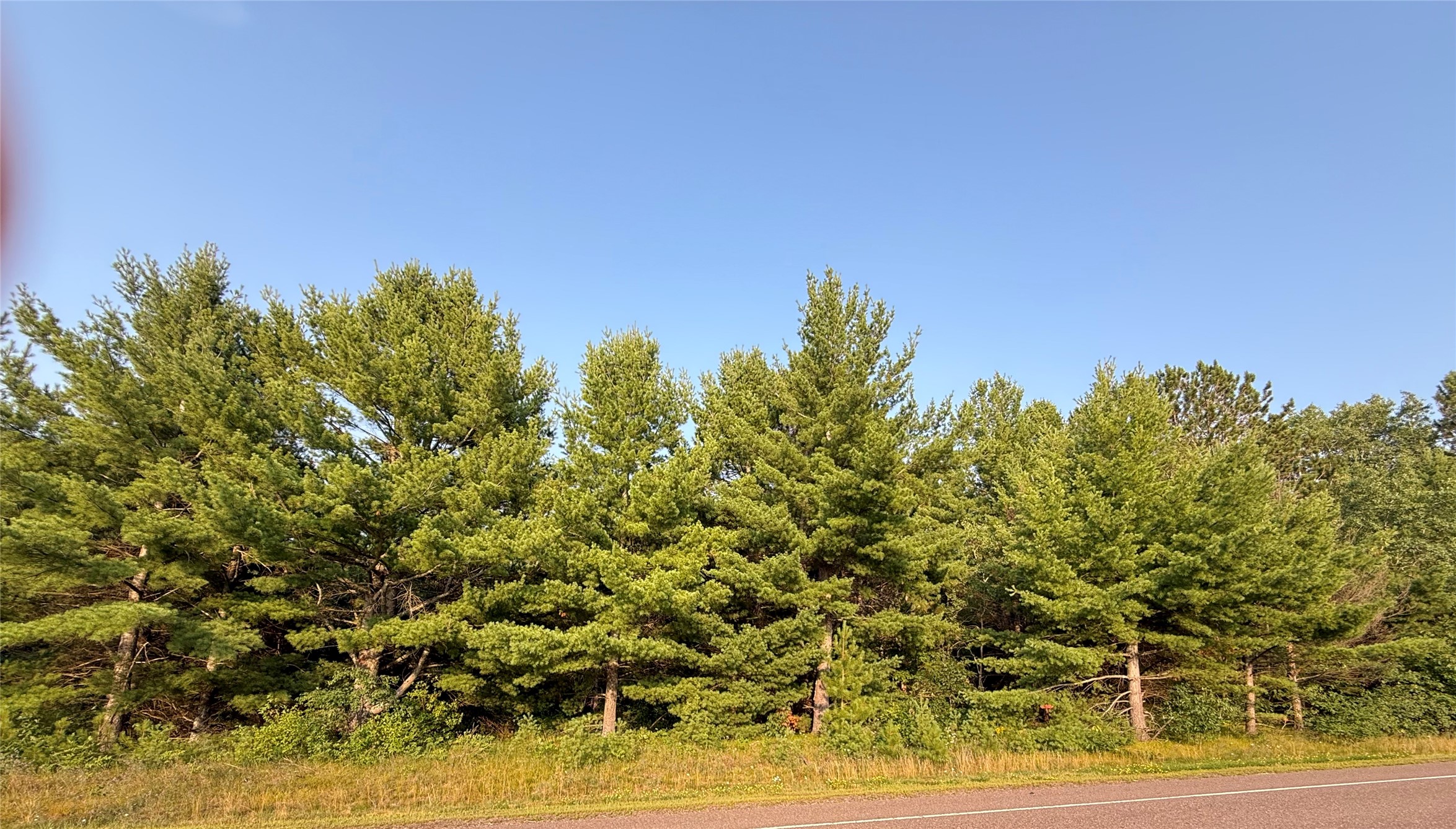 Stone Lake Land Real Estate