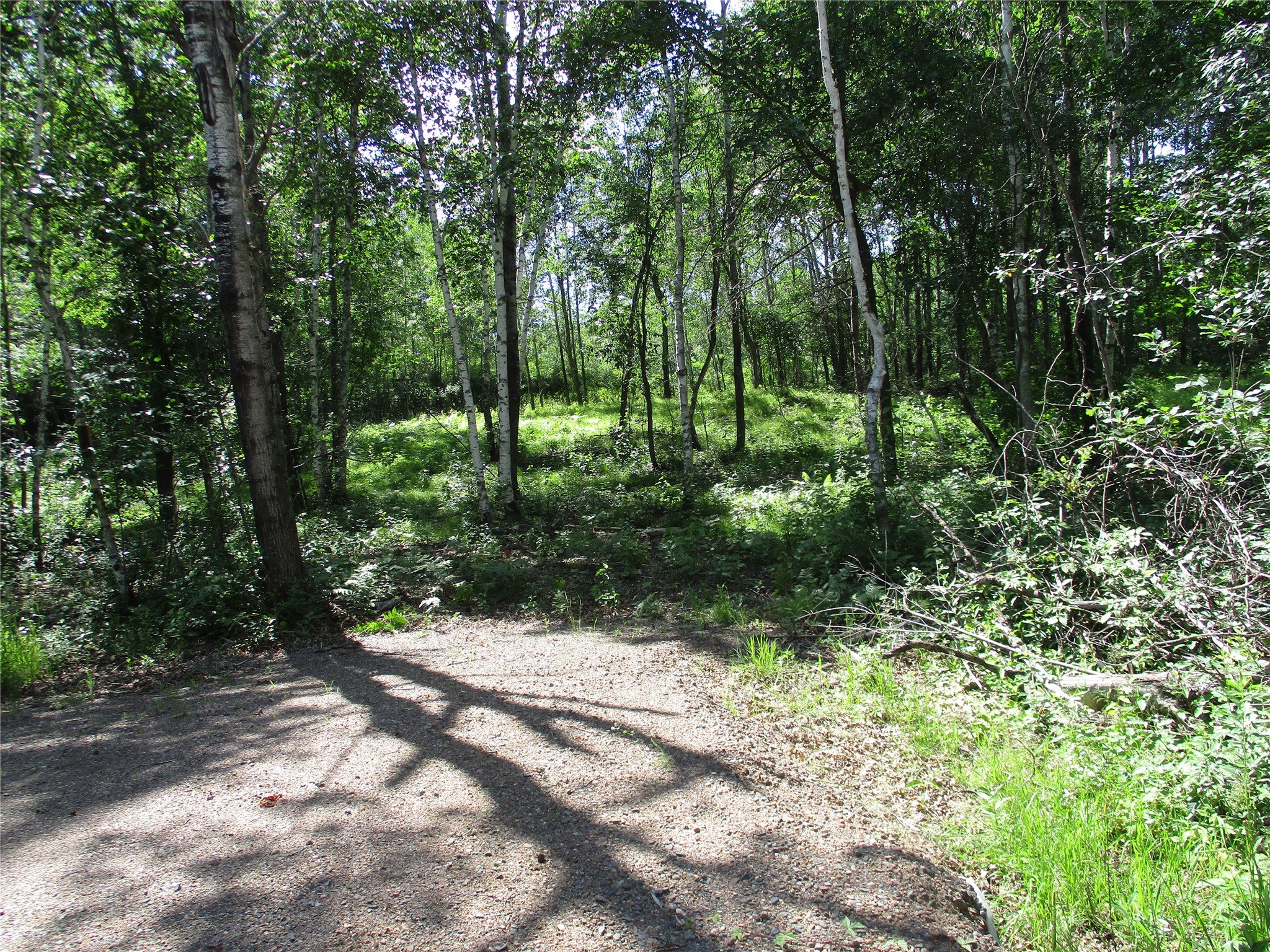 Birchwood - Land Real Estate