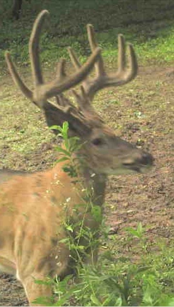Thumbnail 19