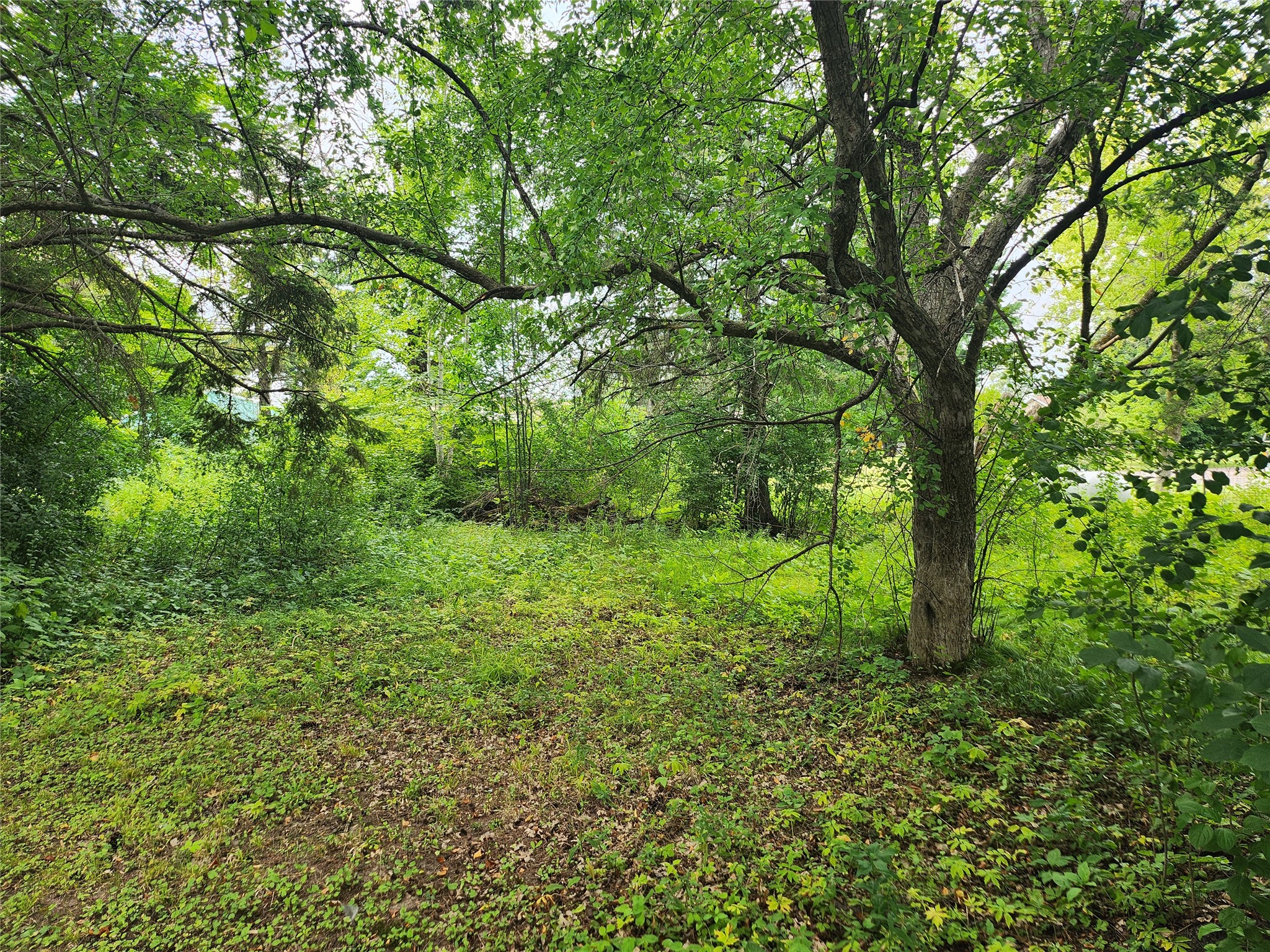 Birchwood Land Real Estate