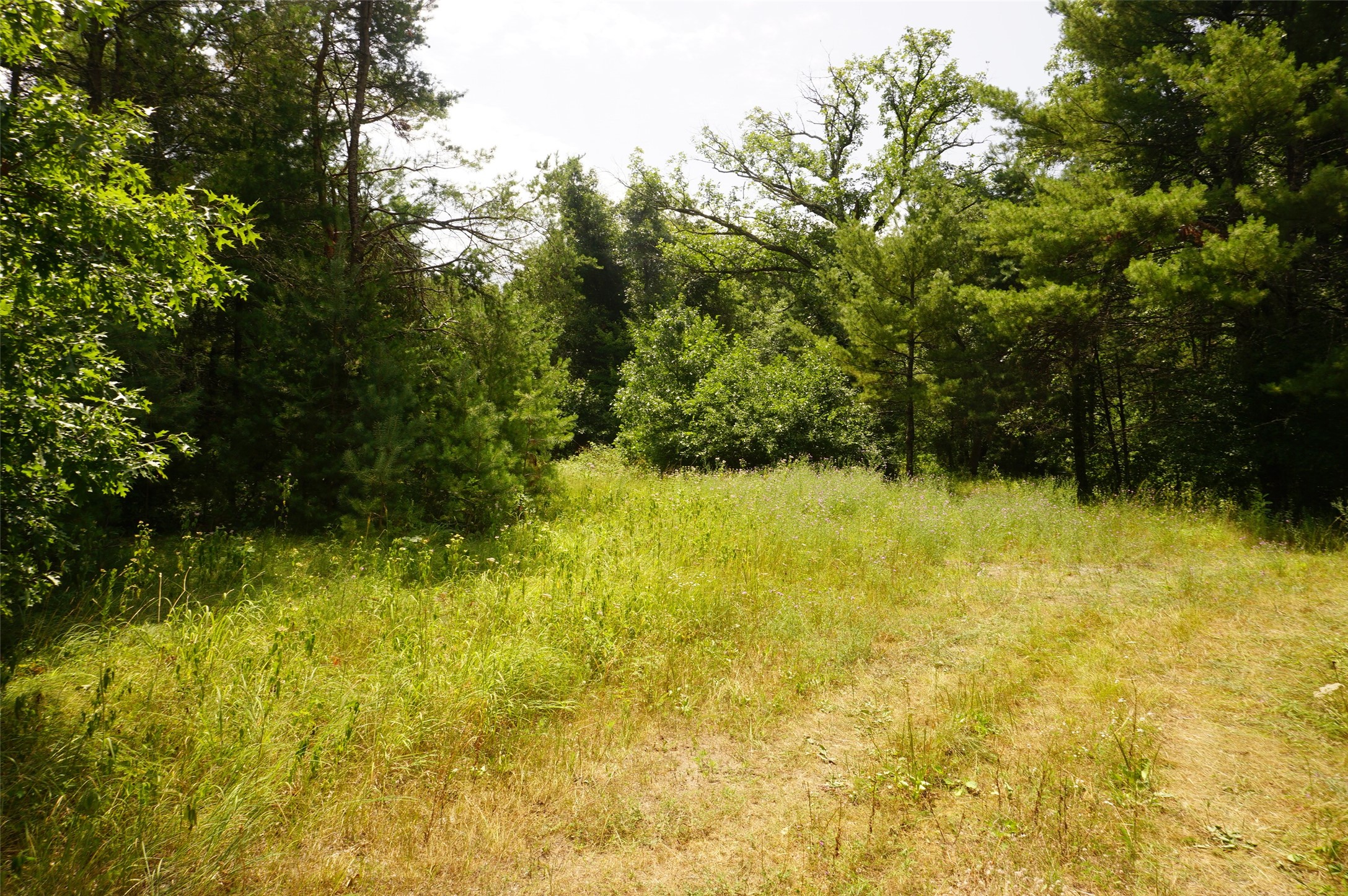 Black River Falls Land Real Estate