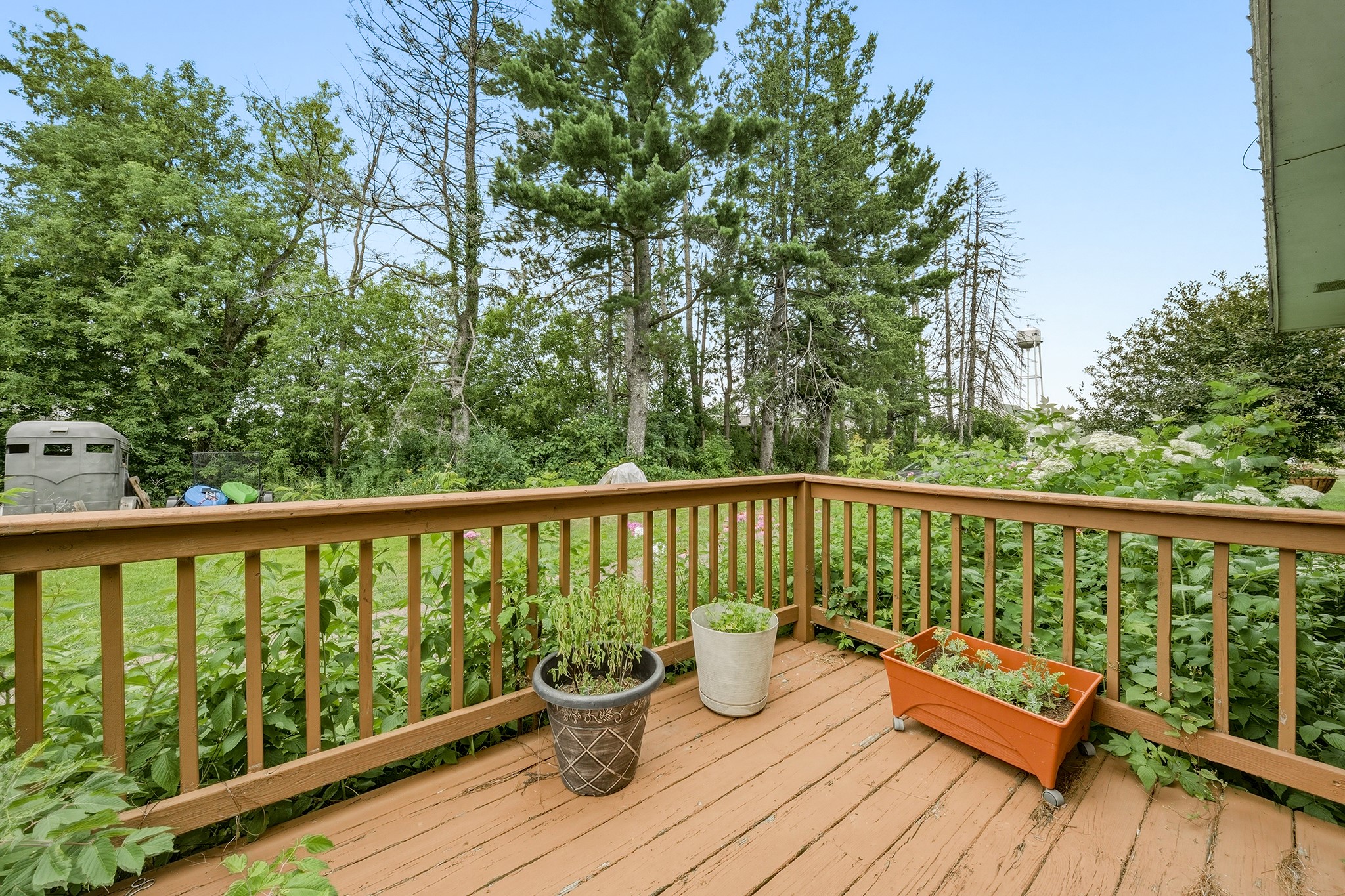 Thumbnail 40