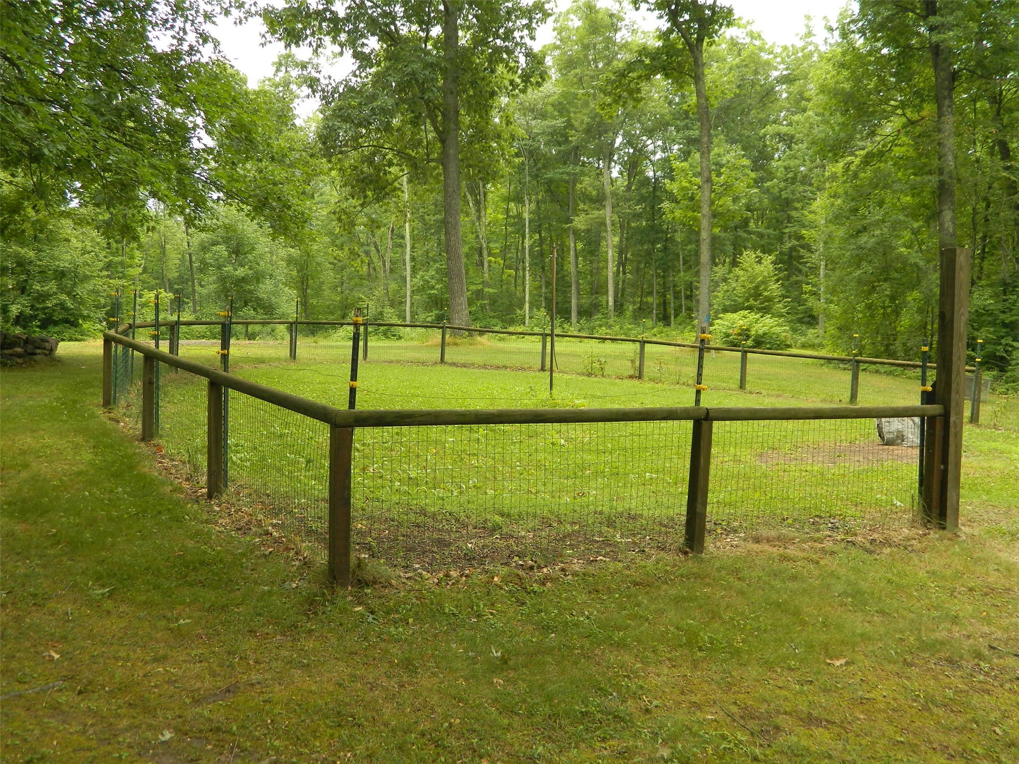 Photo 11