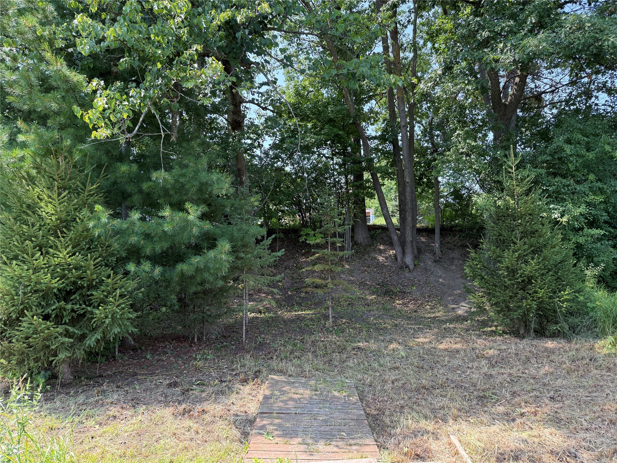 Property Photo #9
