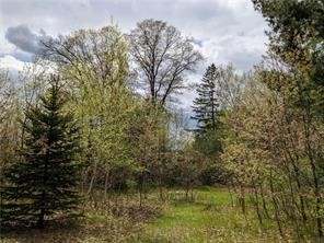 Chippewa Falls - Land photo 2 of 2