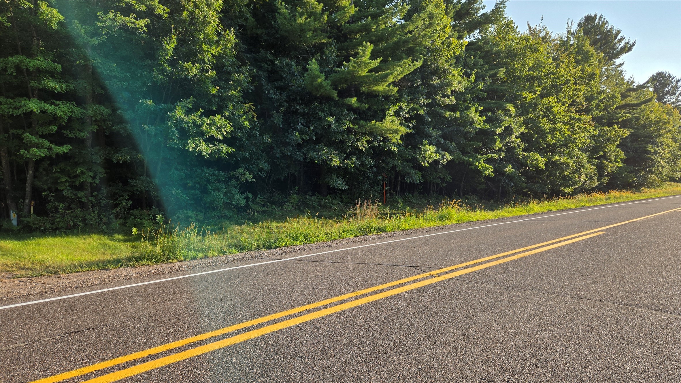 Thumbnail 46