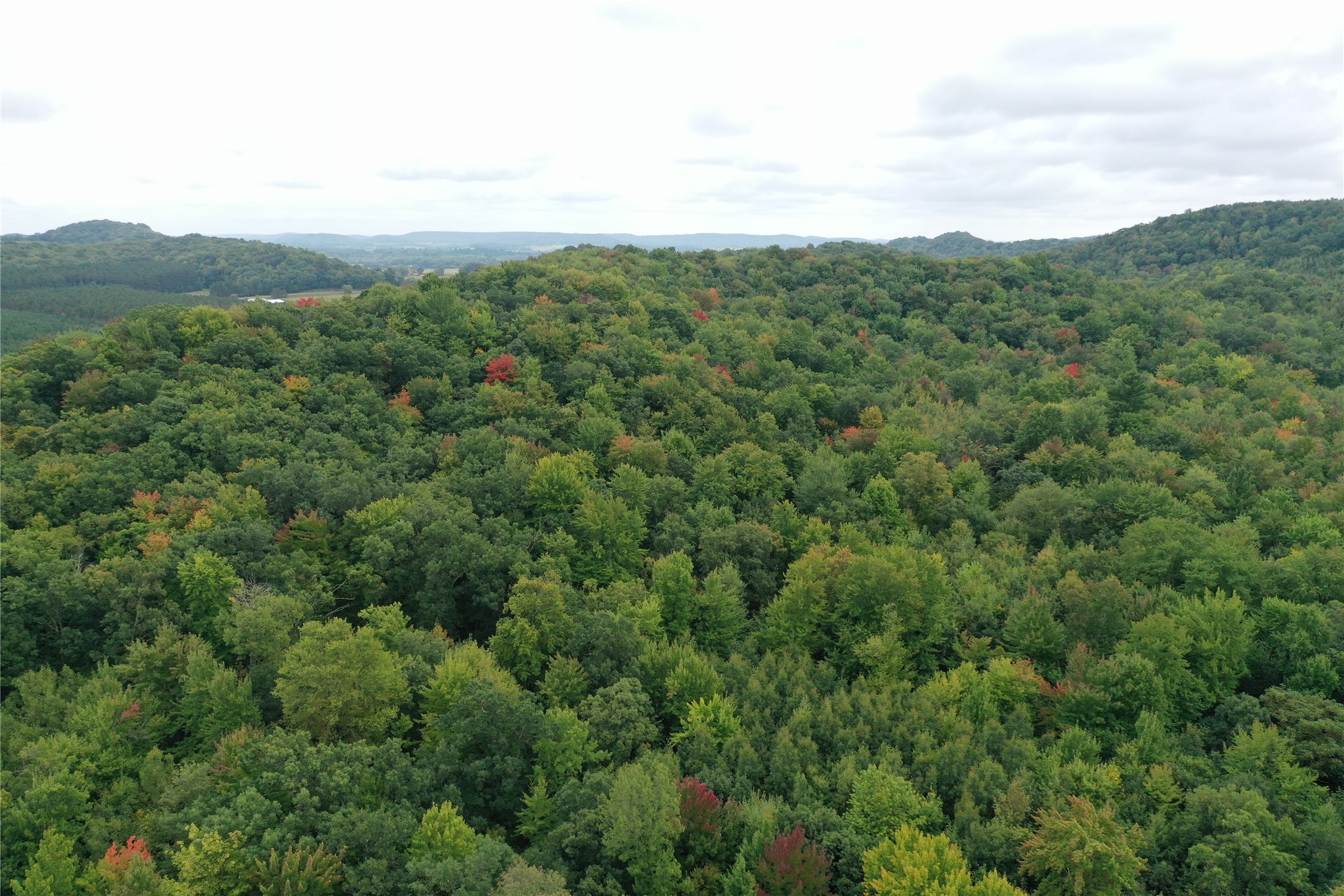 Thumbnail 53
