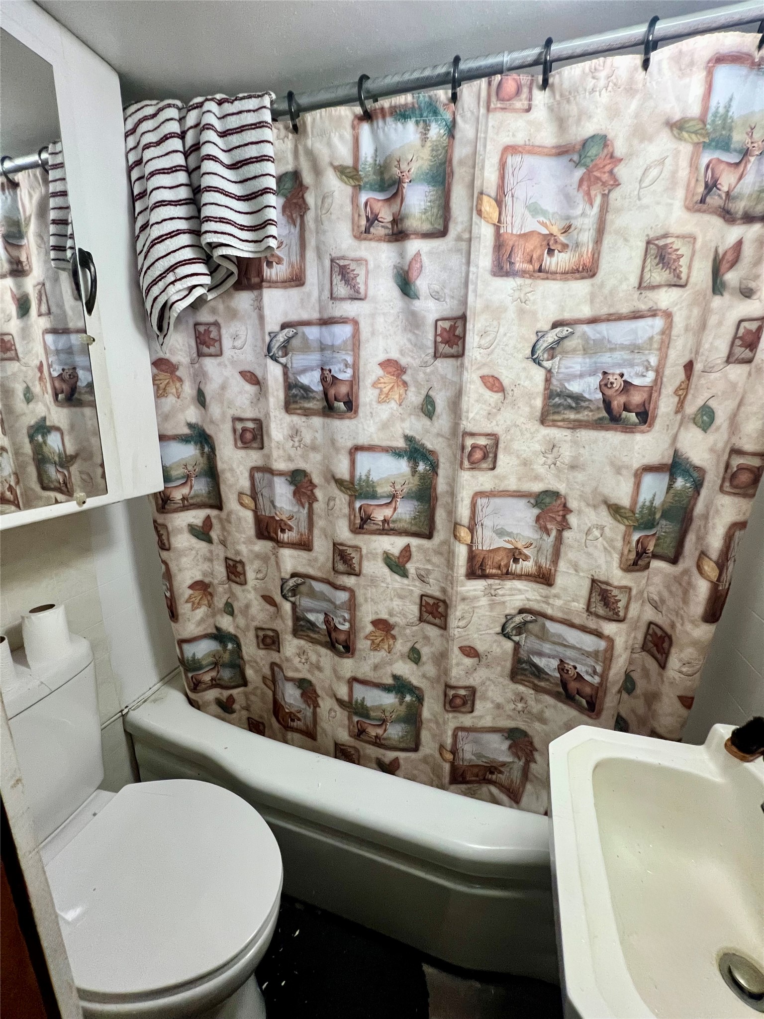 Property Photo #19