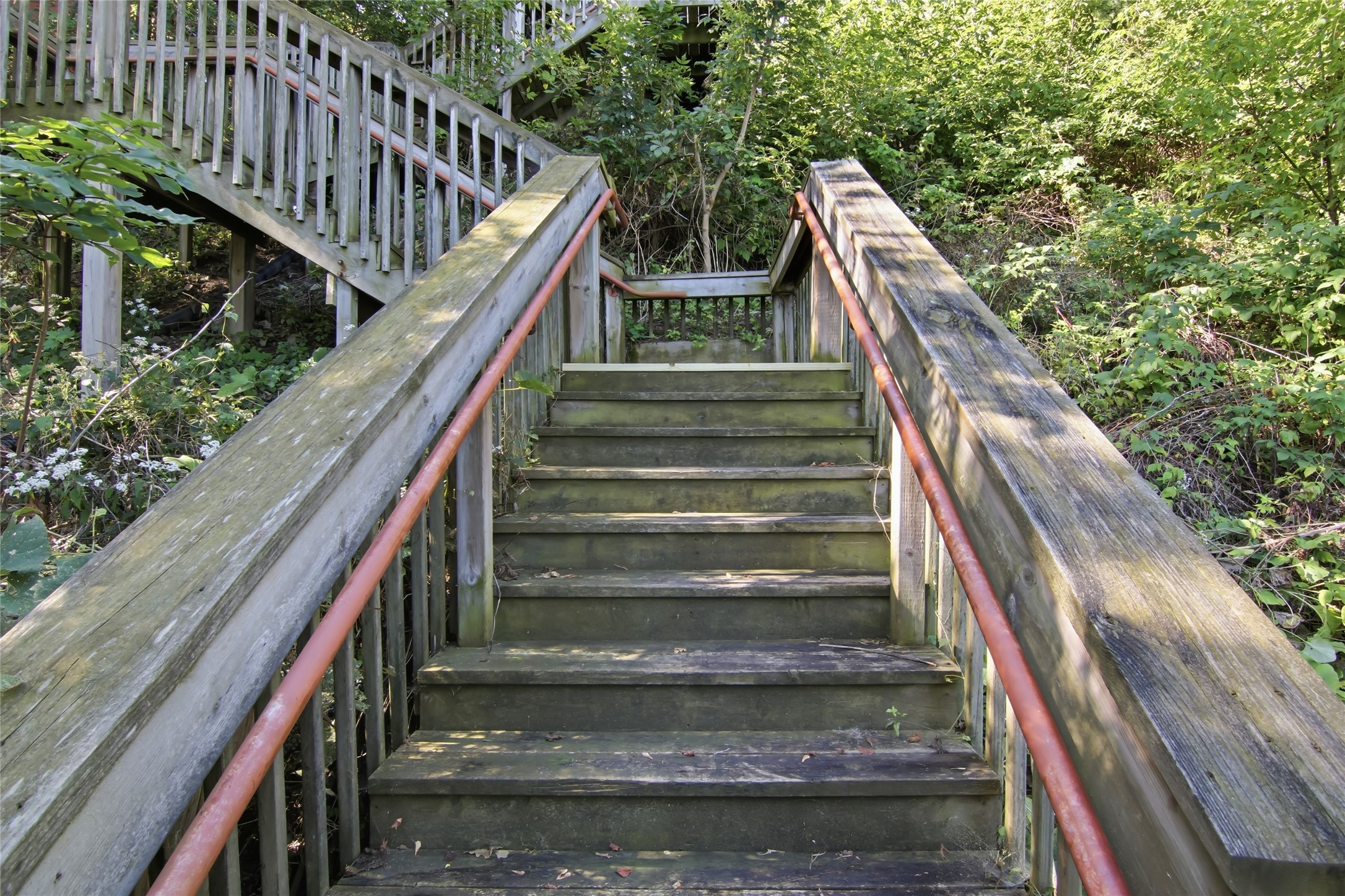Photo 33