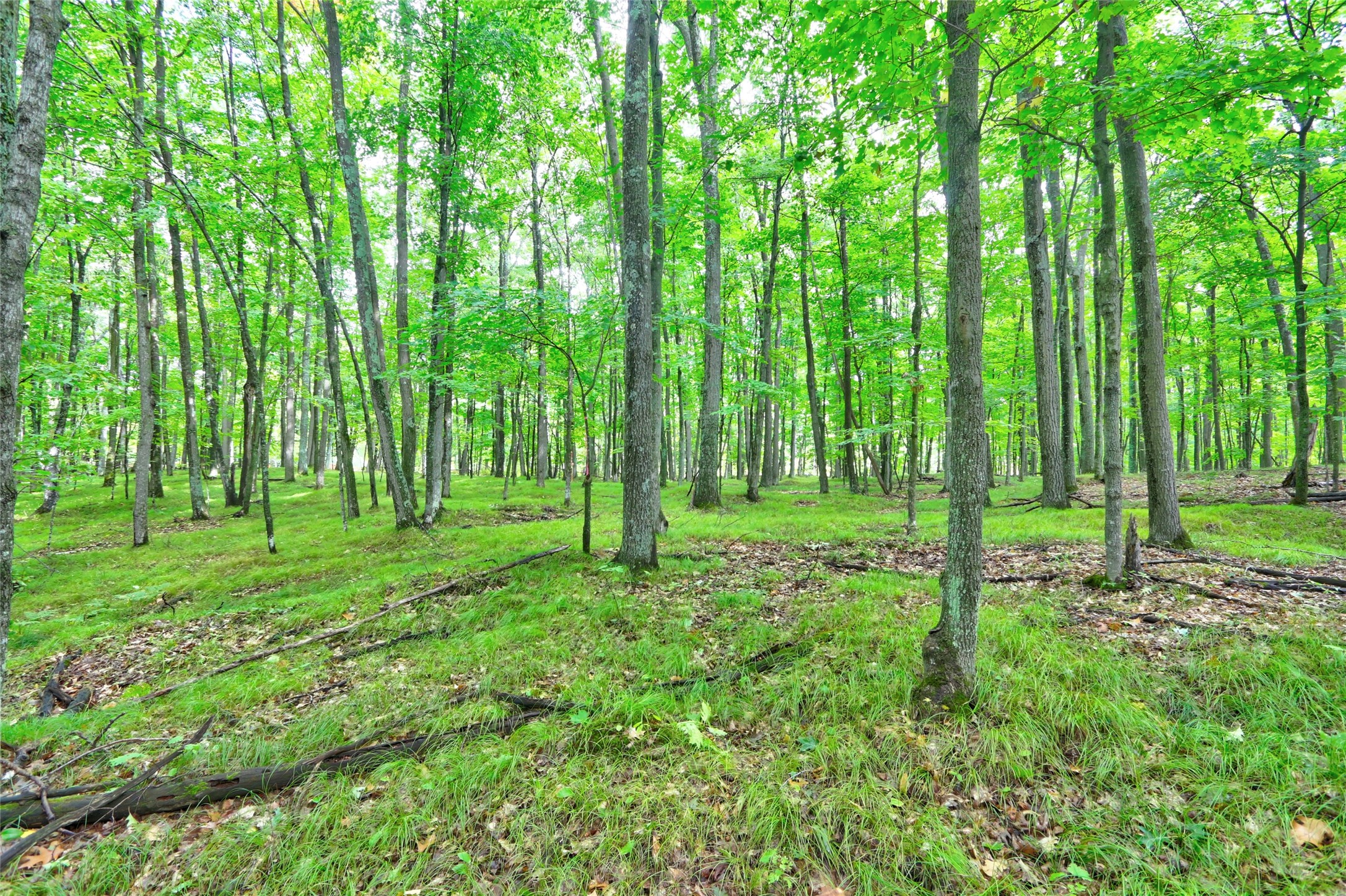 Photo of 0 Twin Lake Road, Hayward, WI