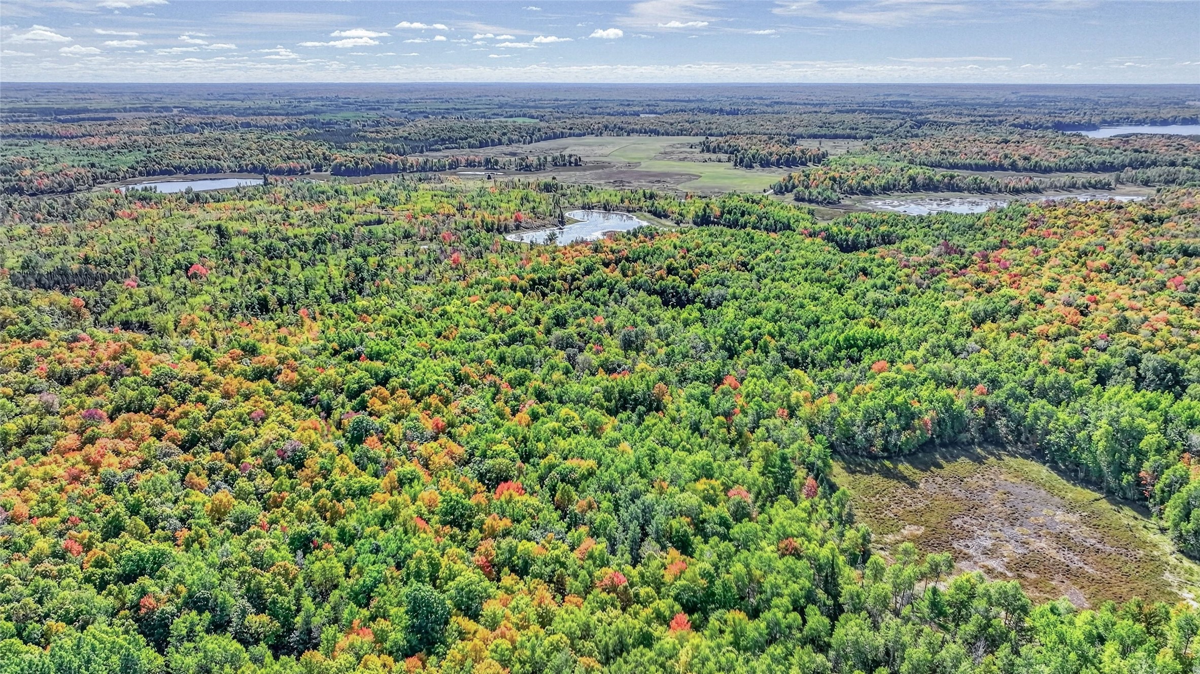 Property Photo #13