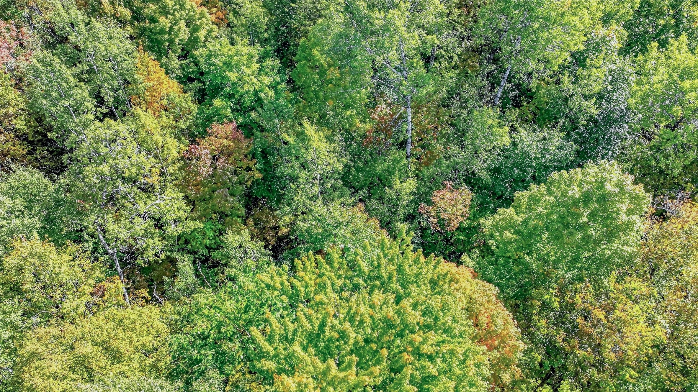 Property Photo #16