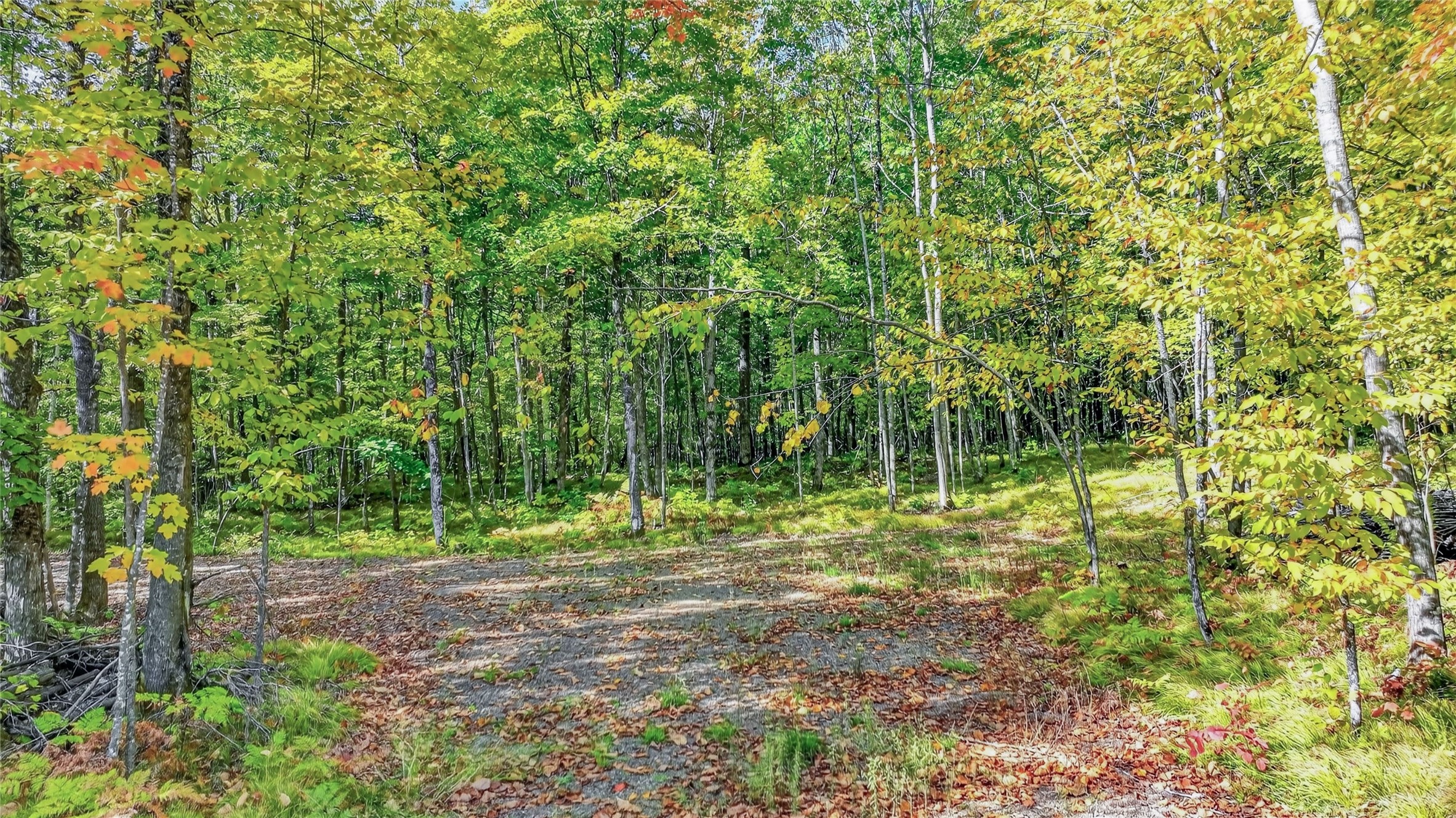 Property Photo #3