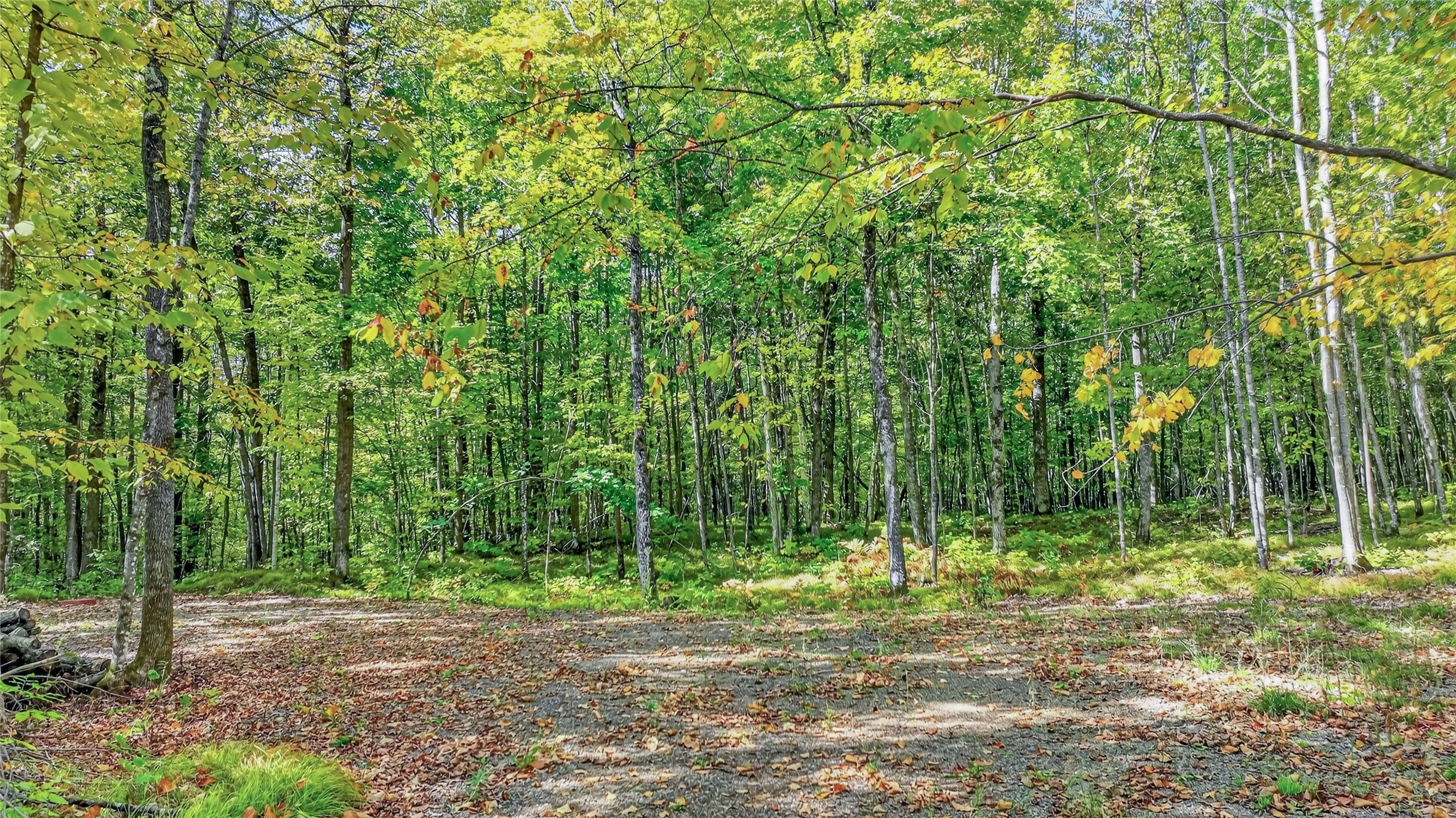 Property Photo #4