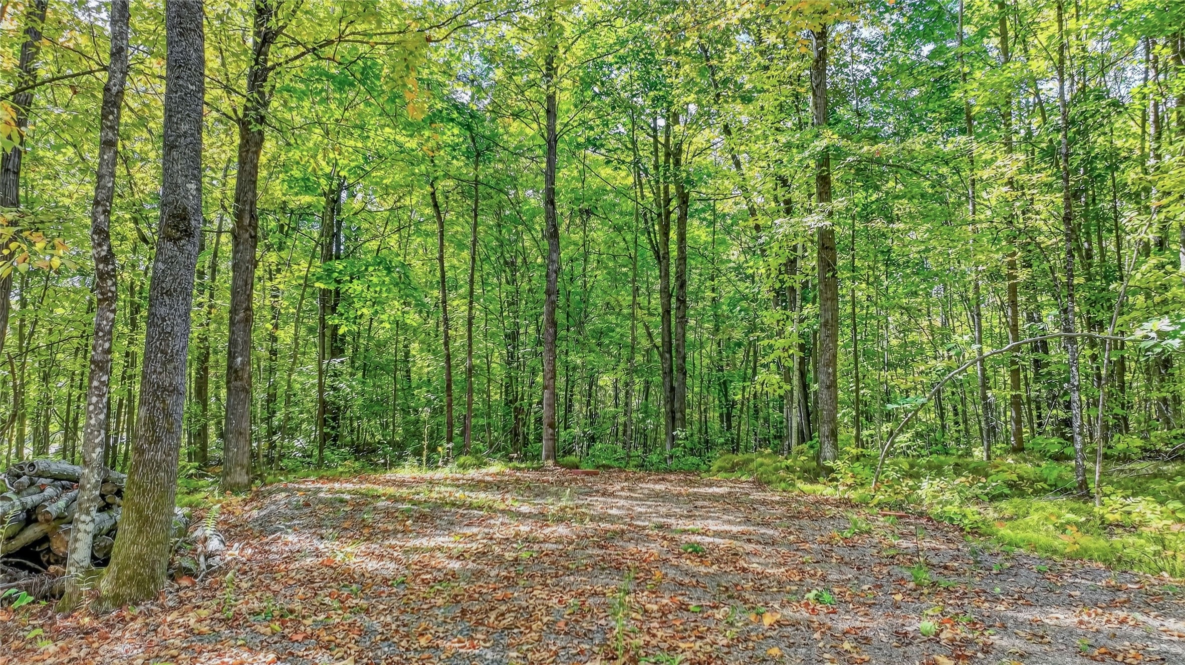 Property Photo #5