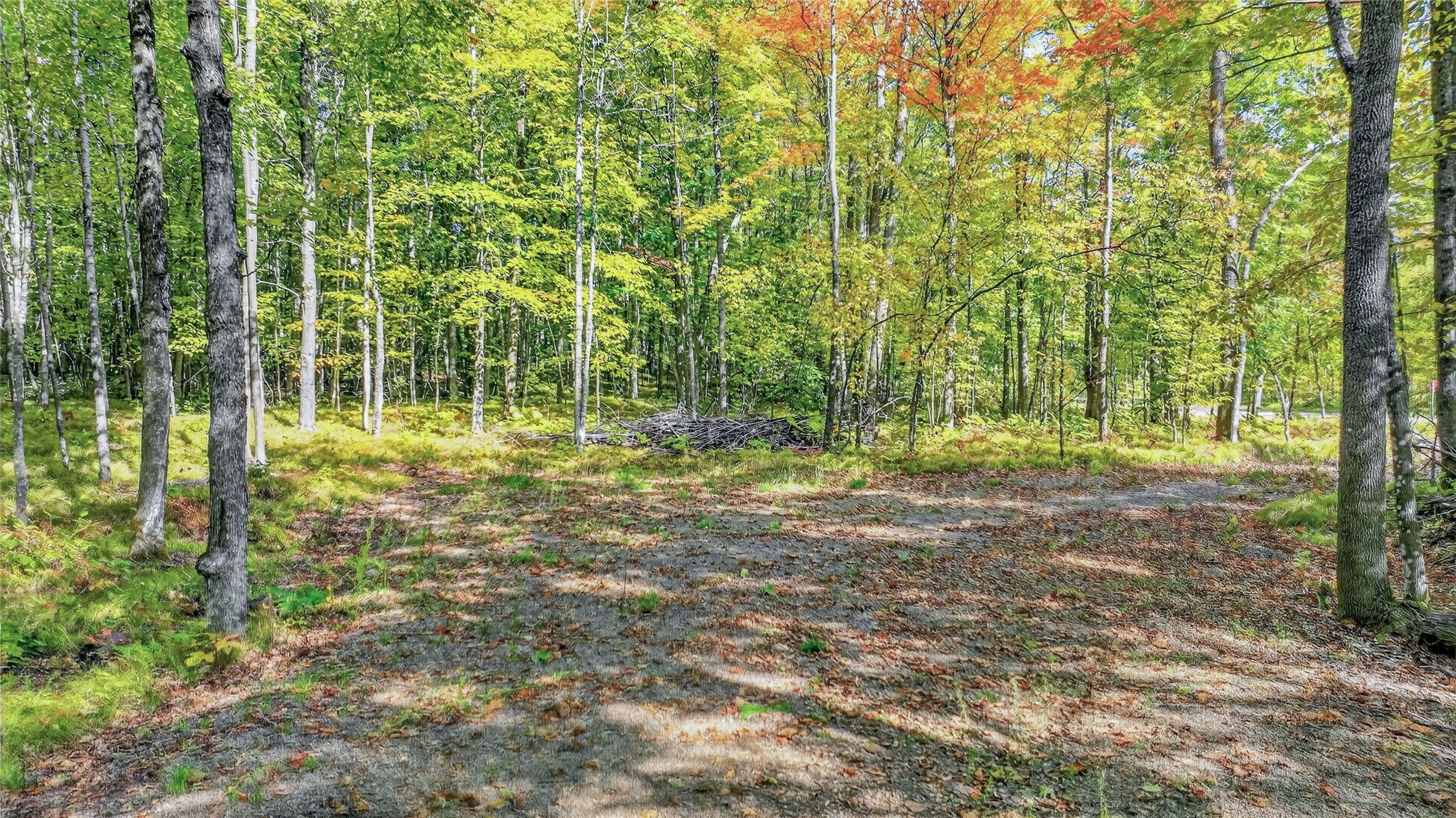 Property Photo #6