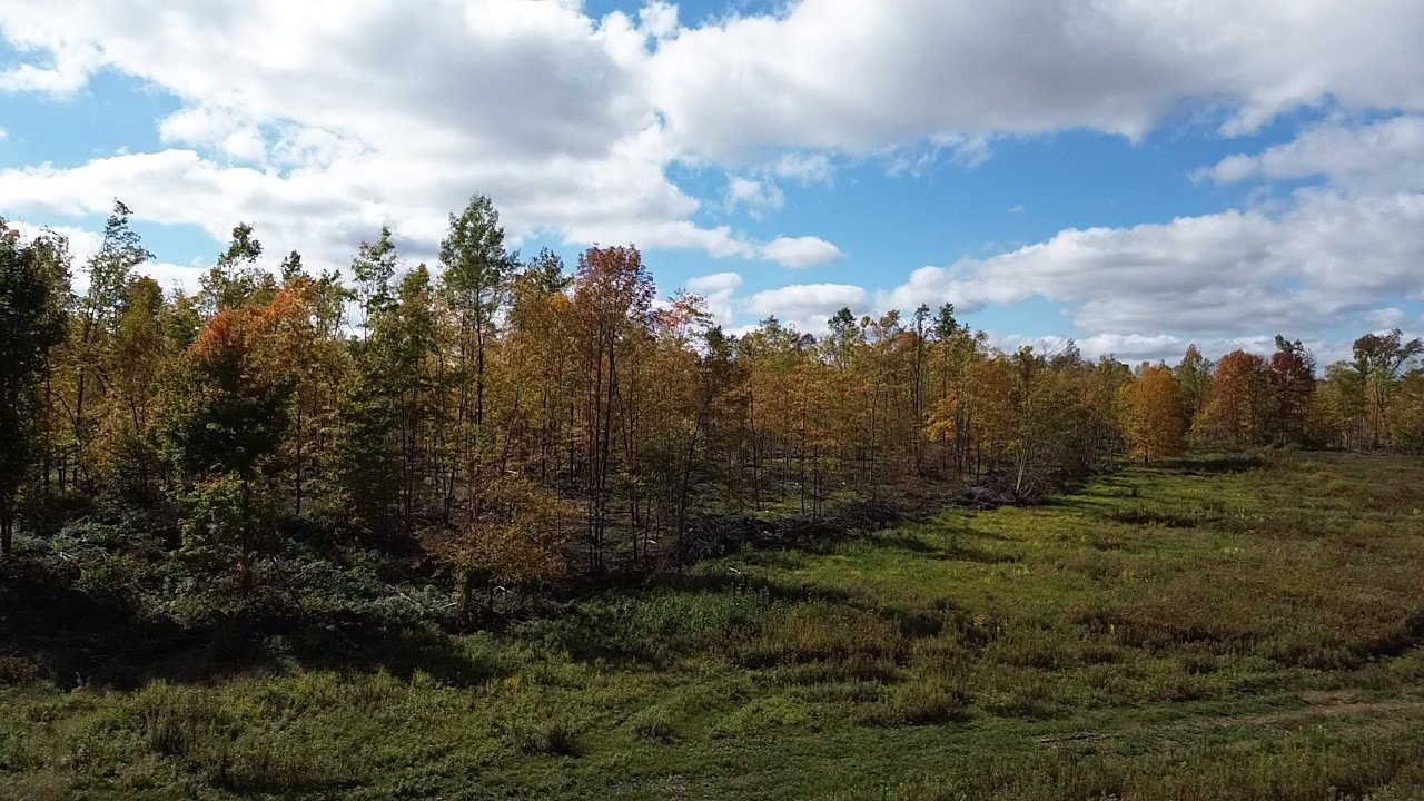 Photo of 126XX Fairman Lane, Exeland, WI