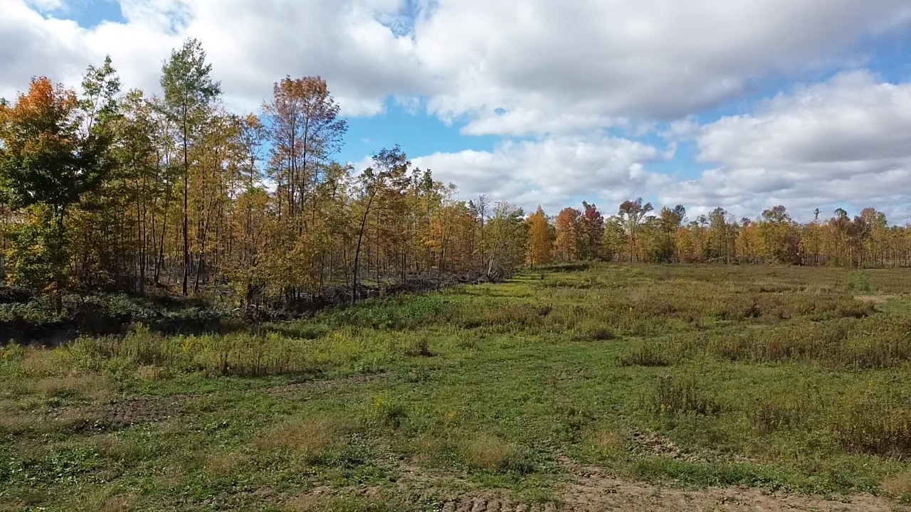 Exeland - Land photo 2 of 10