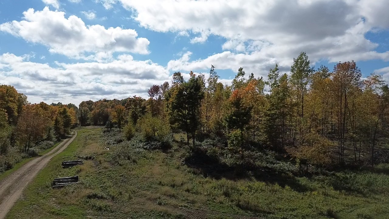 Exeland - Land photo 3 of 10