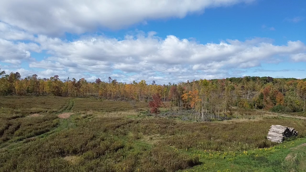 Exeland - Land photo 4 of 10