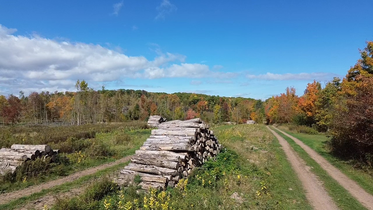 Exeland - Land photo 5 of 10