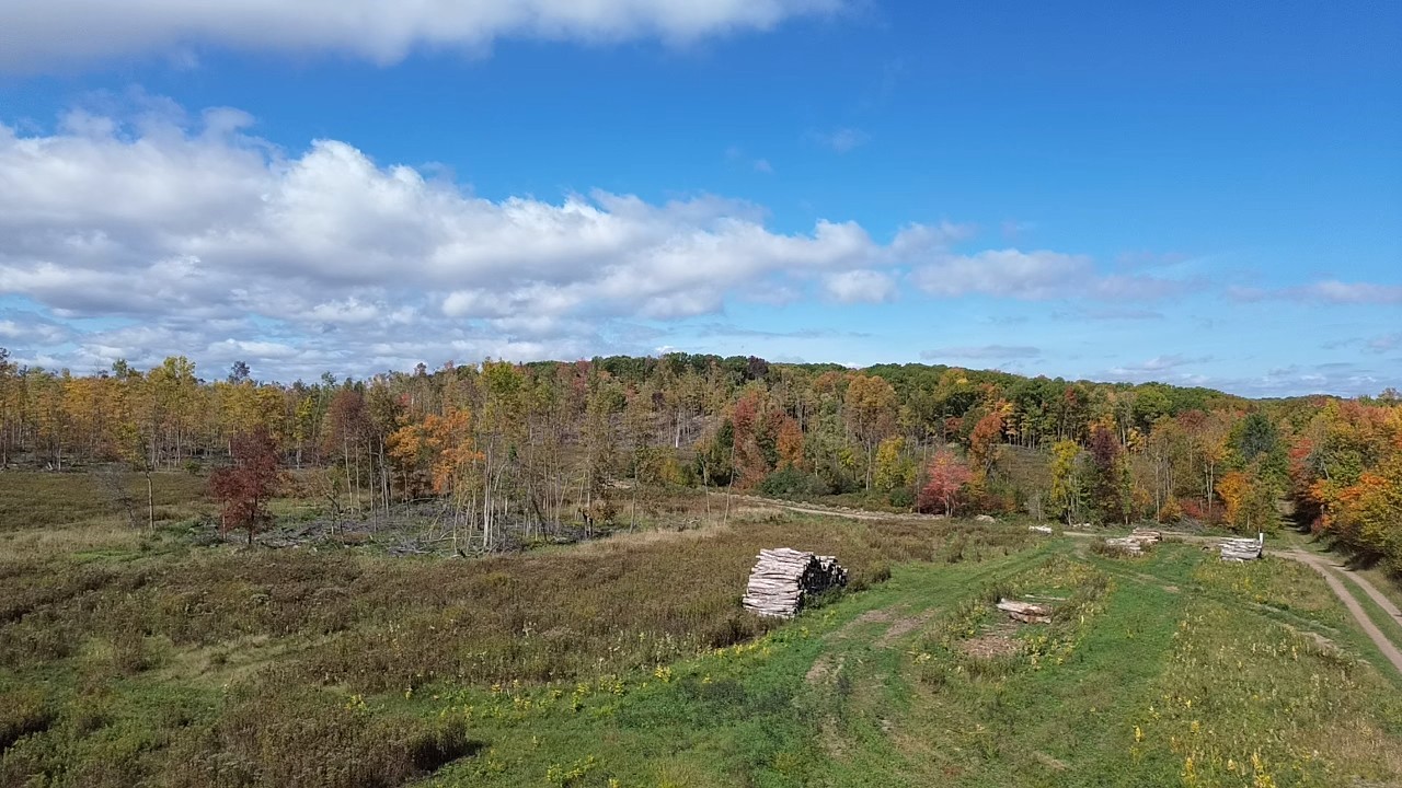 Exeland - Land photo 6 of 10