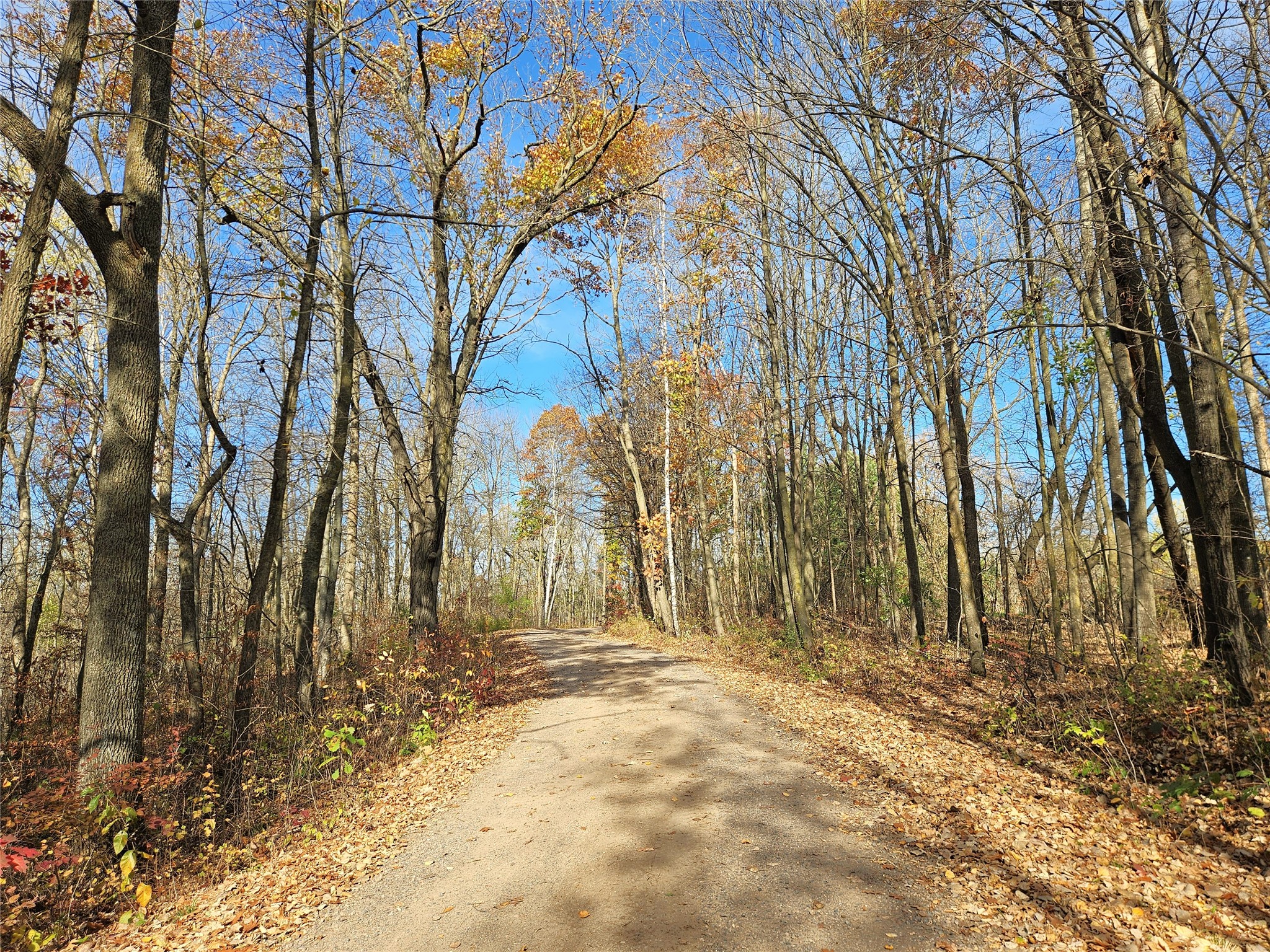 Photo of 000 16th Avenue