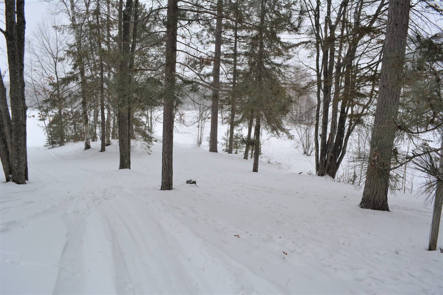 Property Photo #59