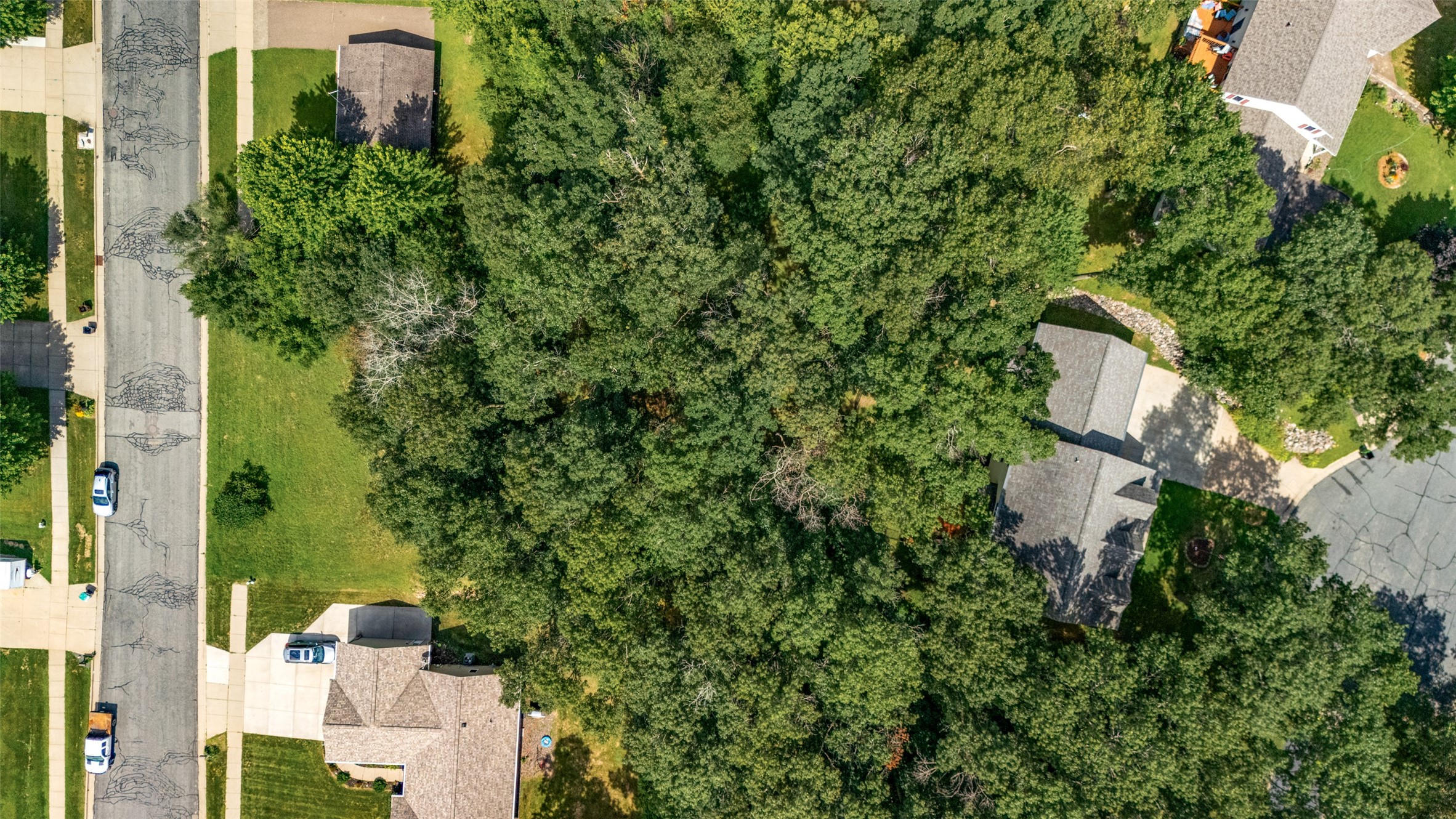 Property Photo #10