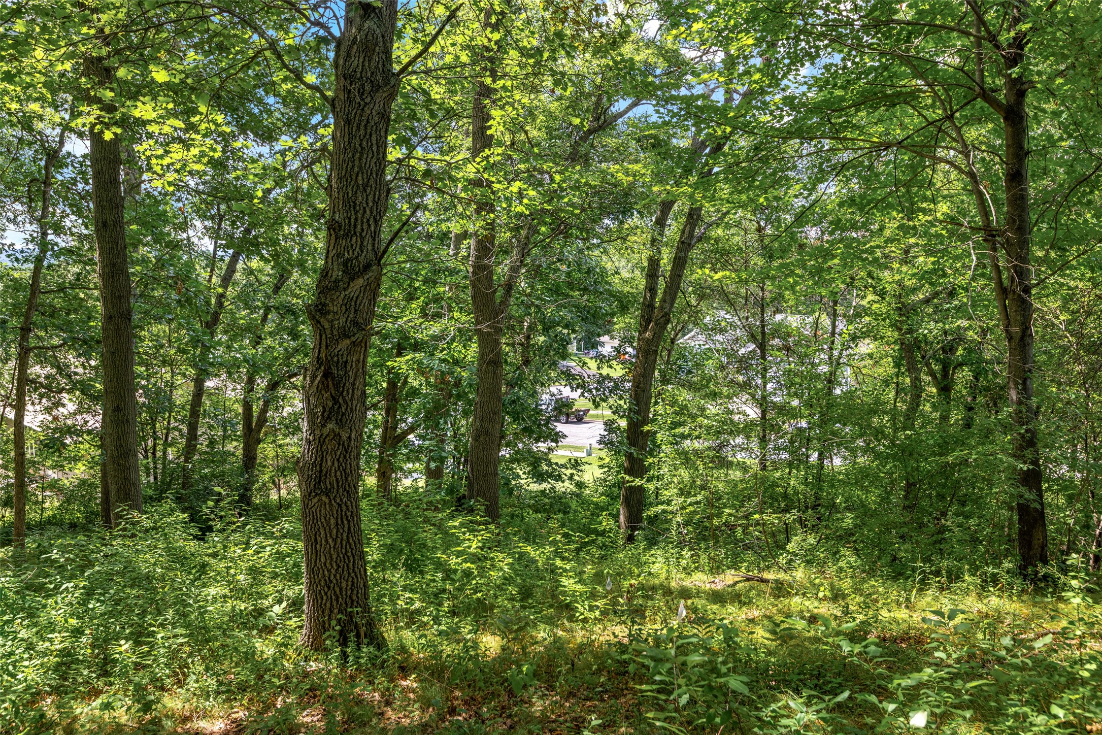 Property Photo #11