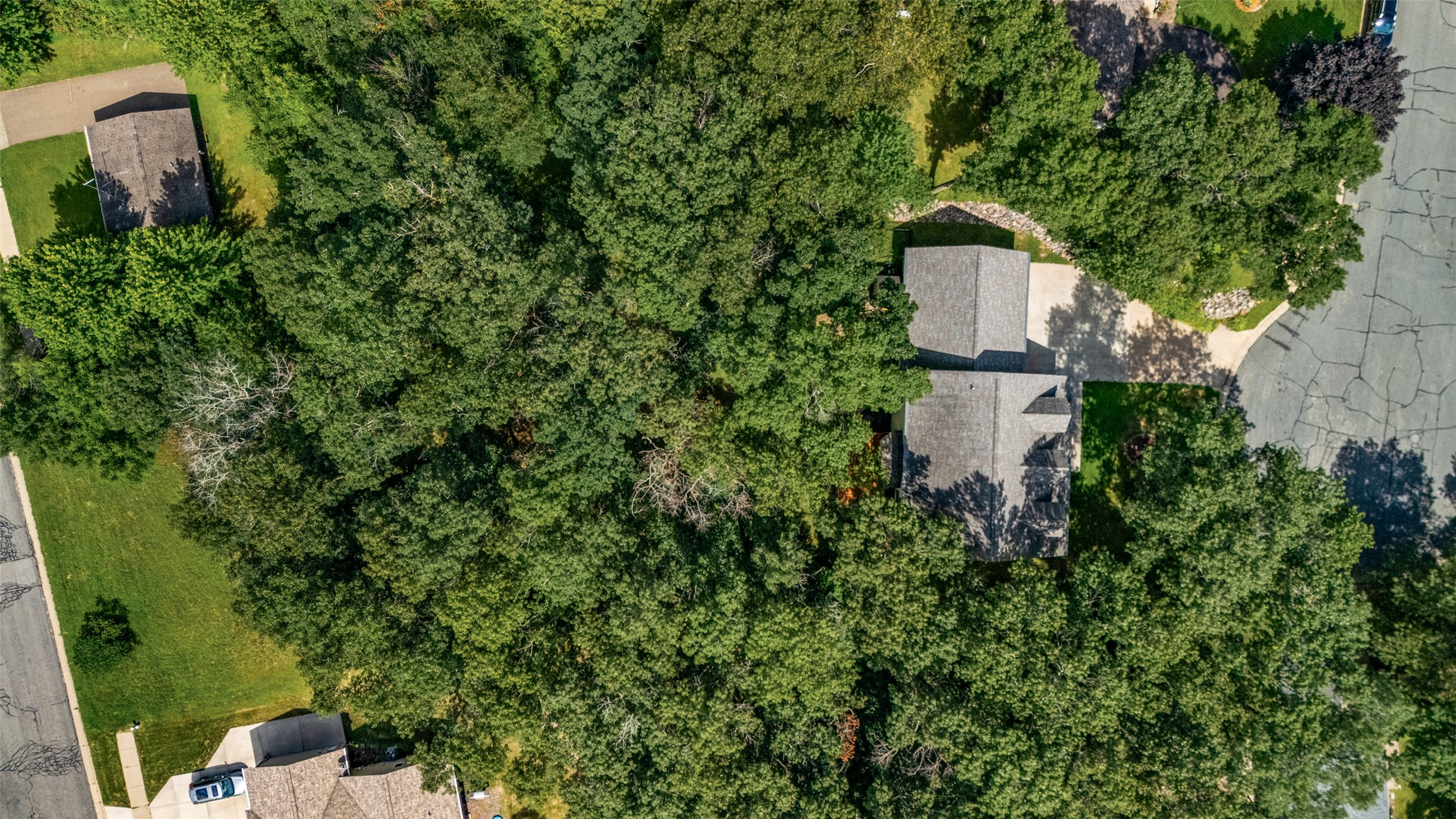 Property Photo #9