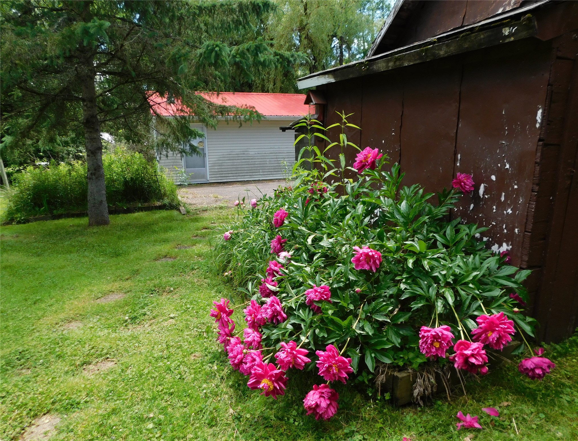 Property Photo #20