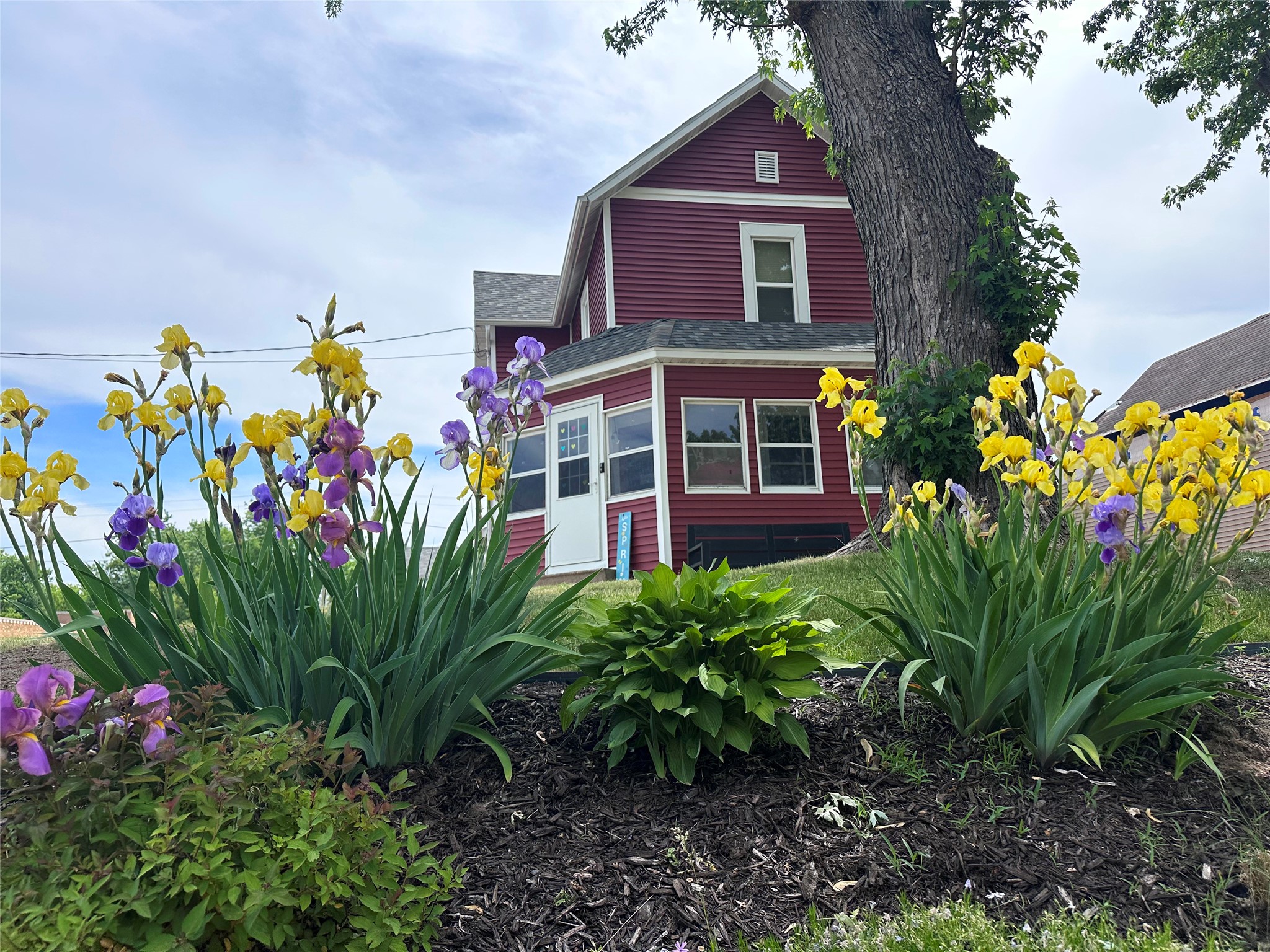 Thumbnail 55