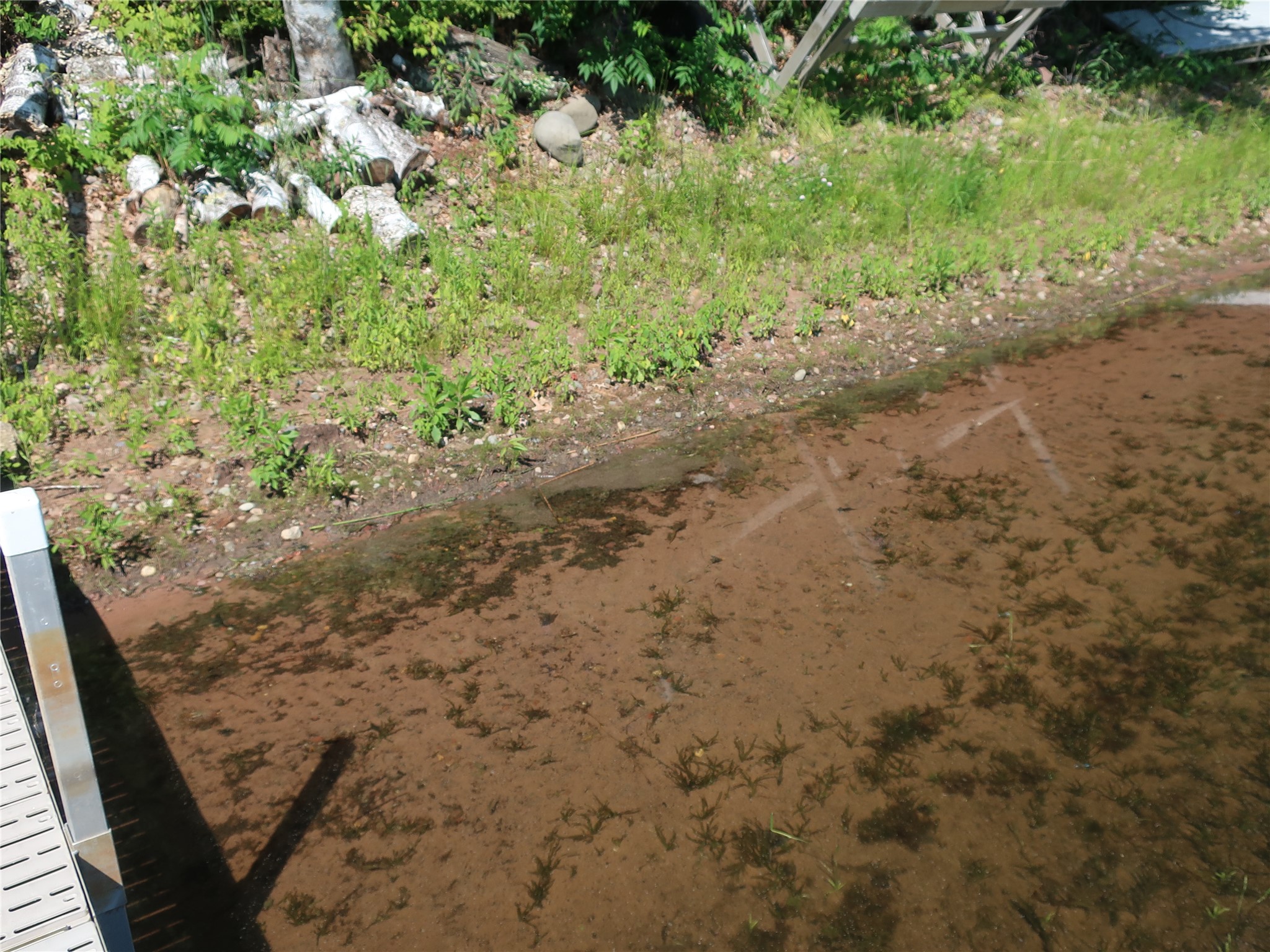 Photo 28