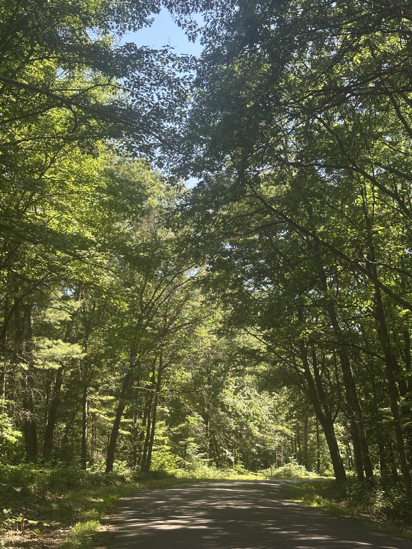 Holcombe Land Real Estate
