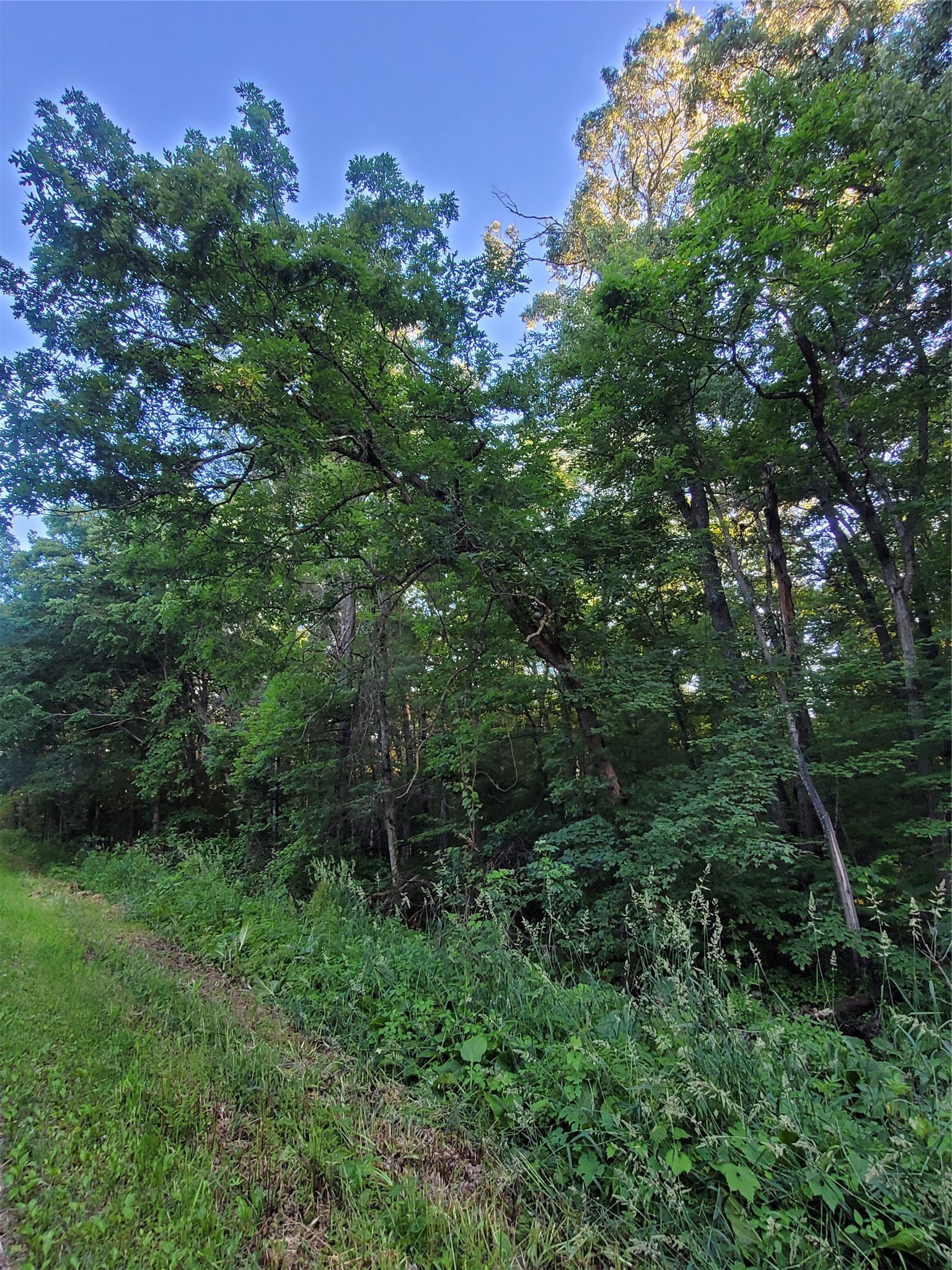 Merrillan - Land Real Estate