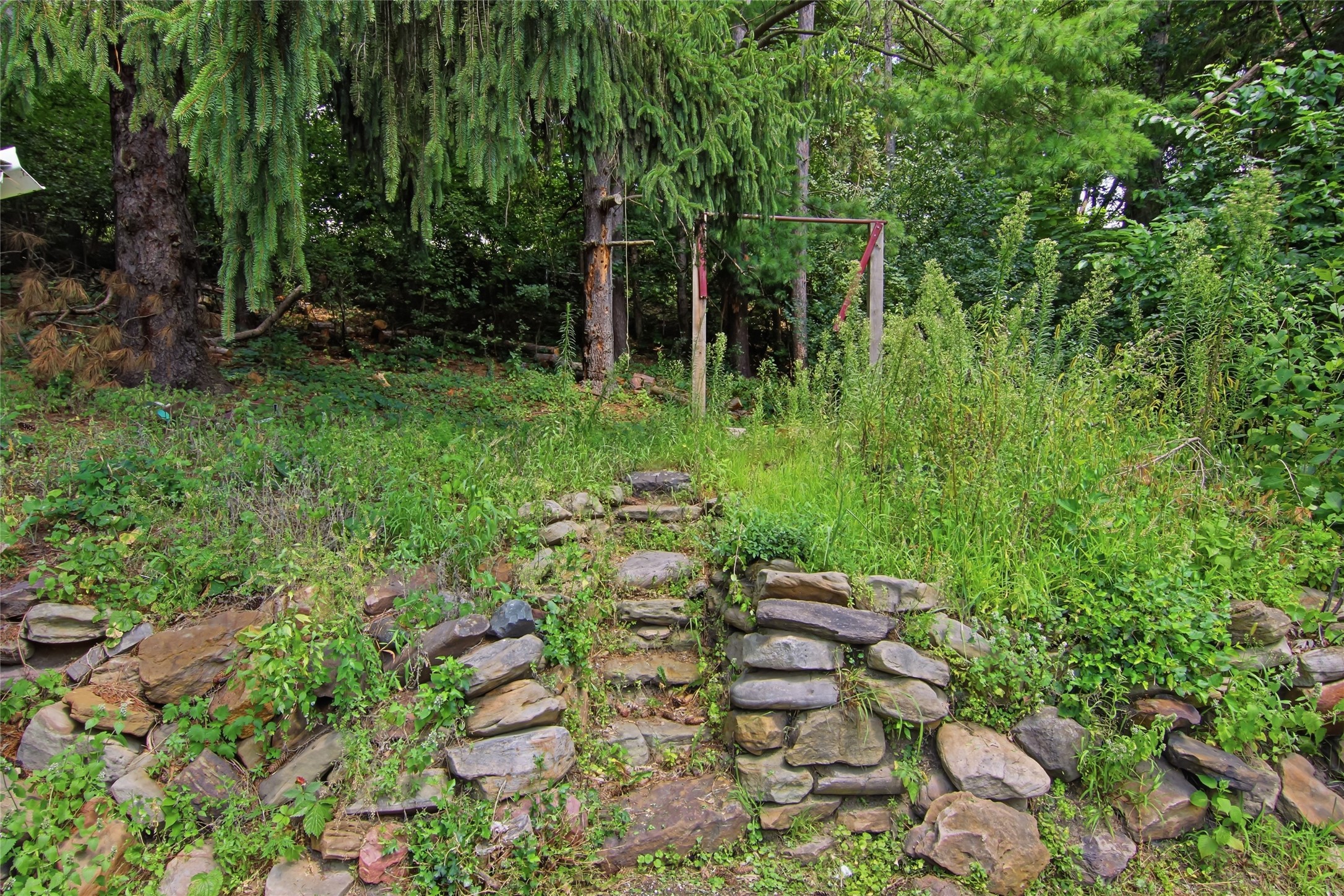Photo 46