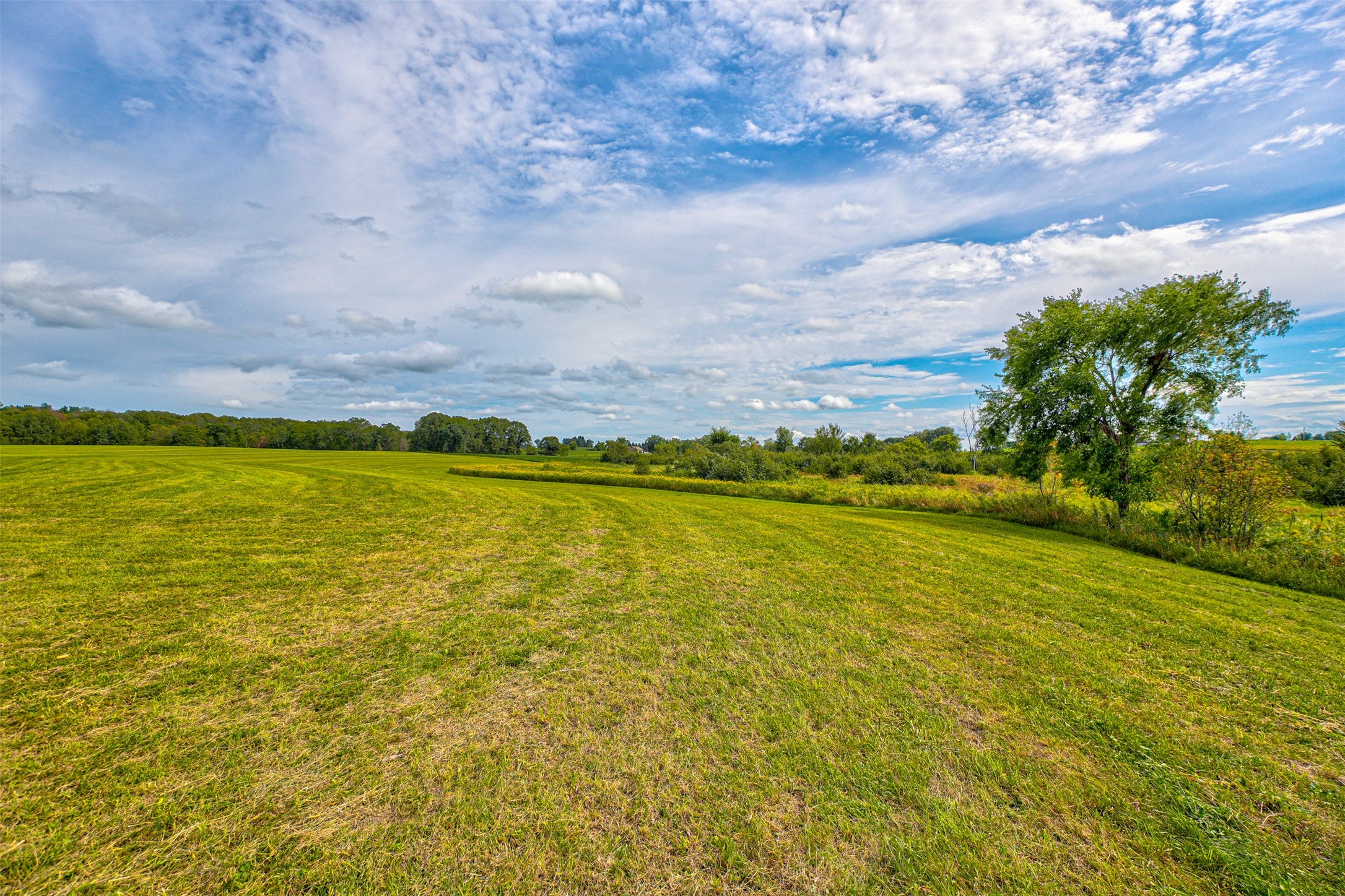Elk Mound Land Real Estate
