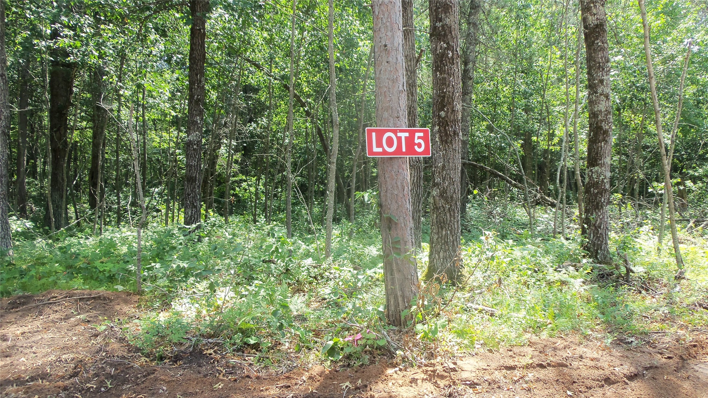 Spooner - Land Real Estate