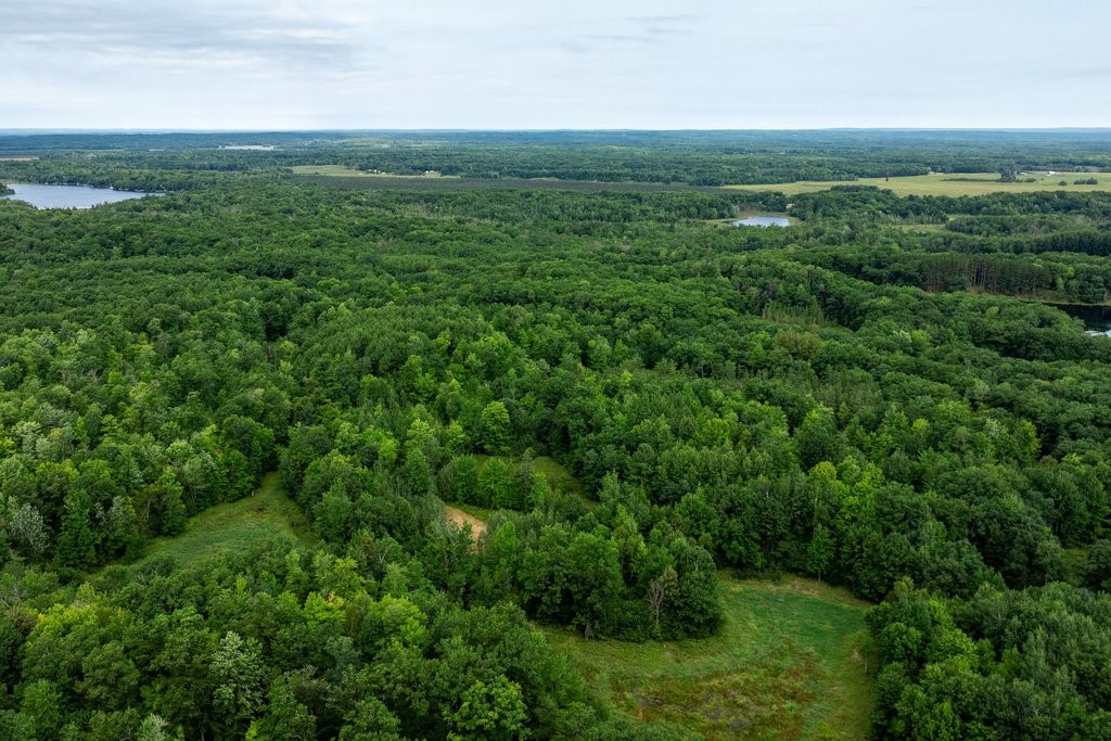 Property Photo #11