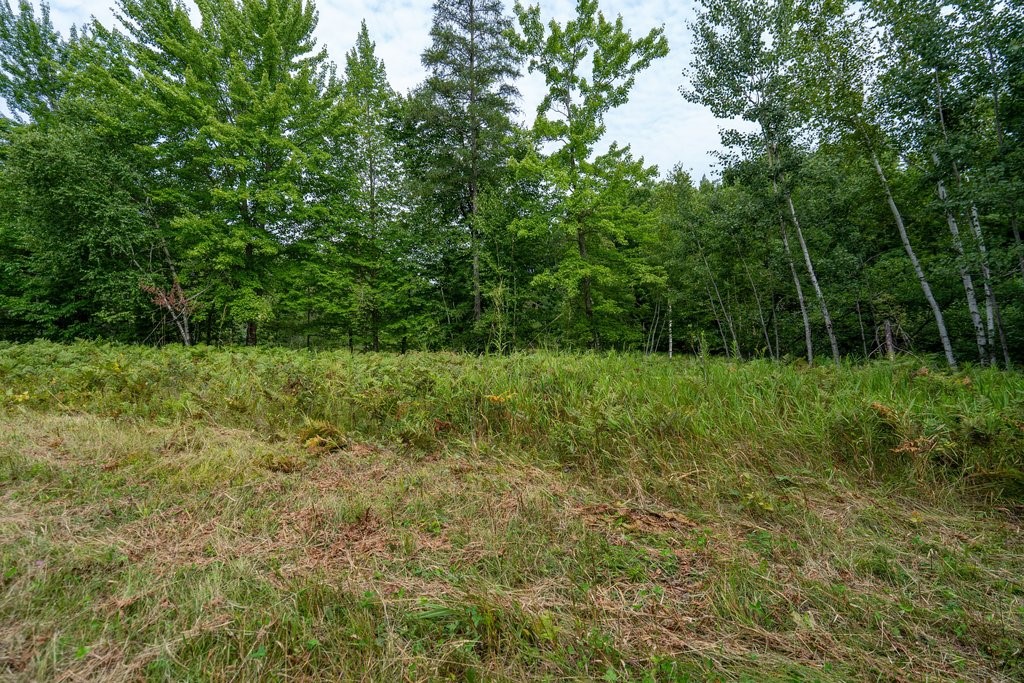 Property Photo #7