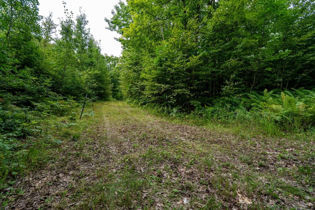 Property Photo #8