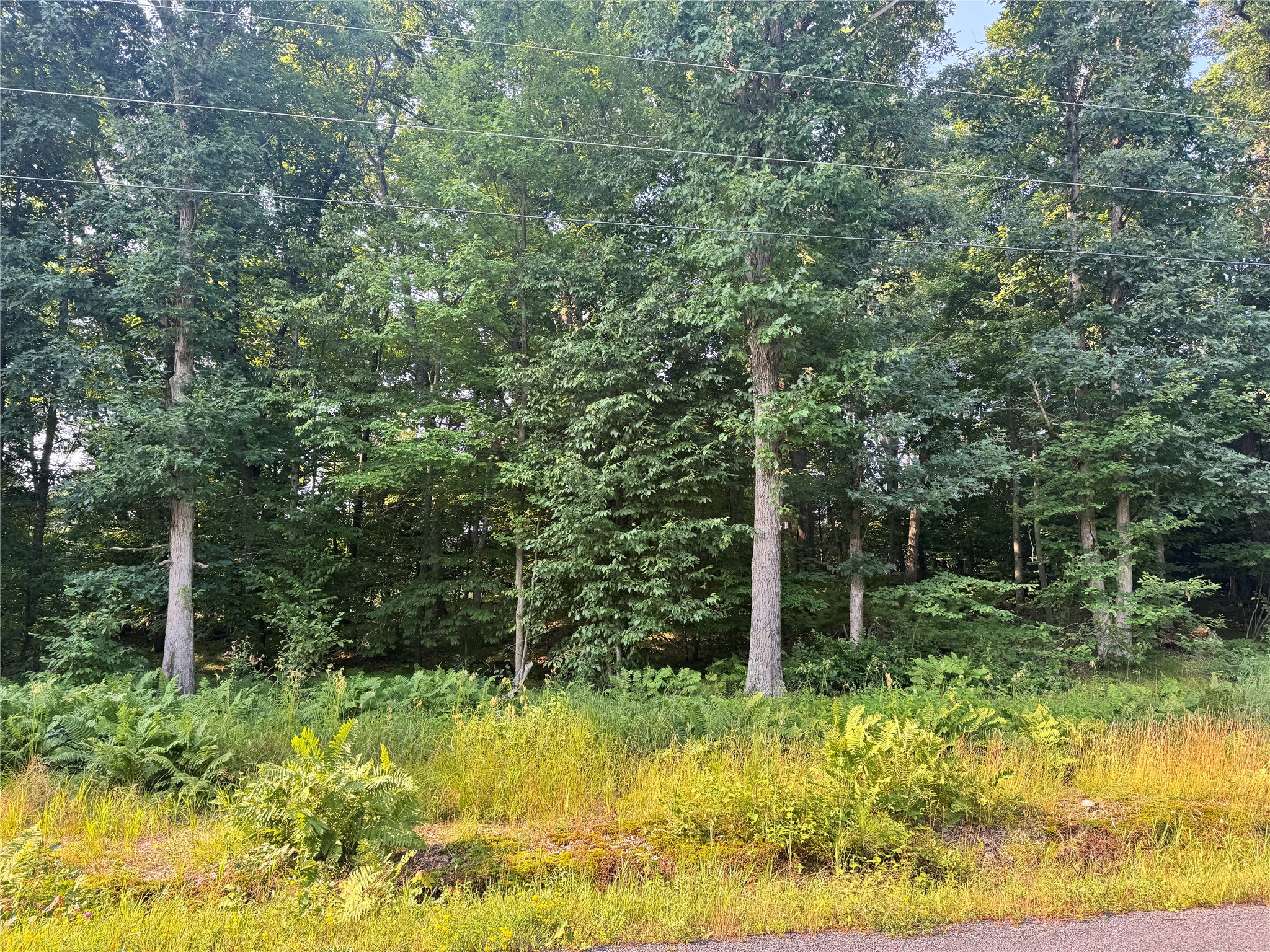 Fairchild Land Real Estate