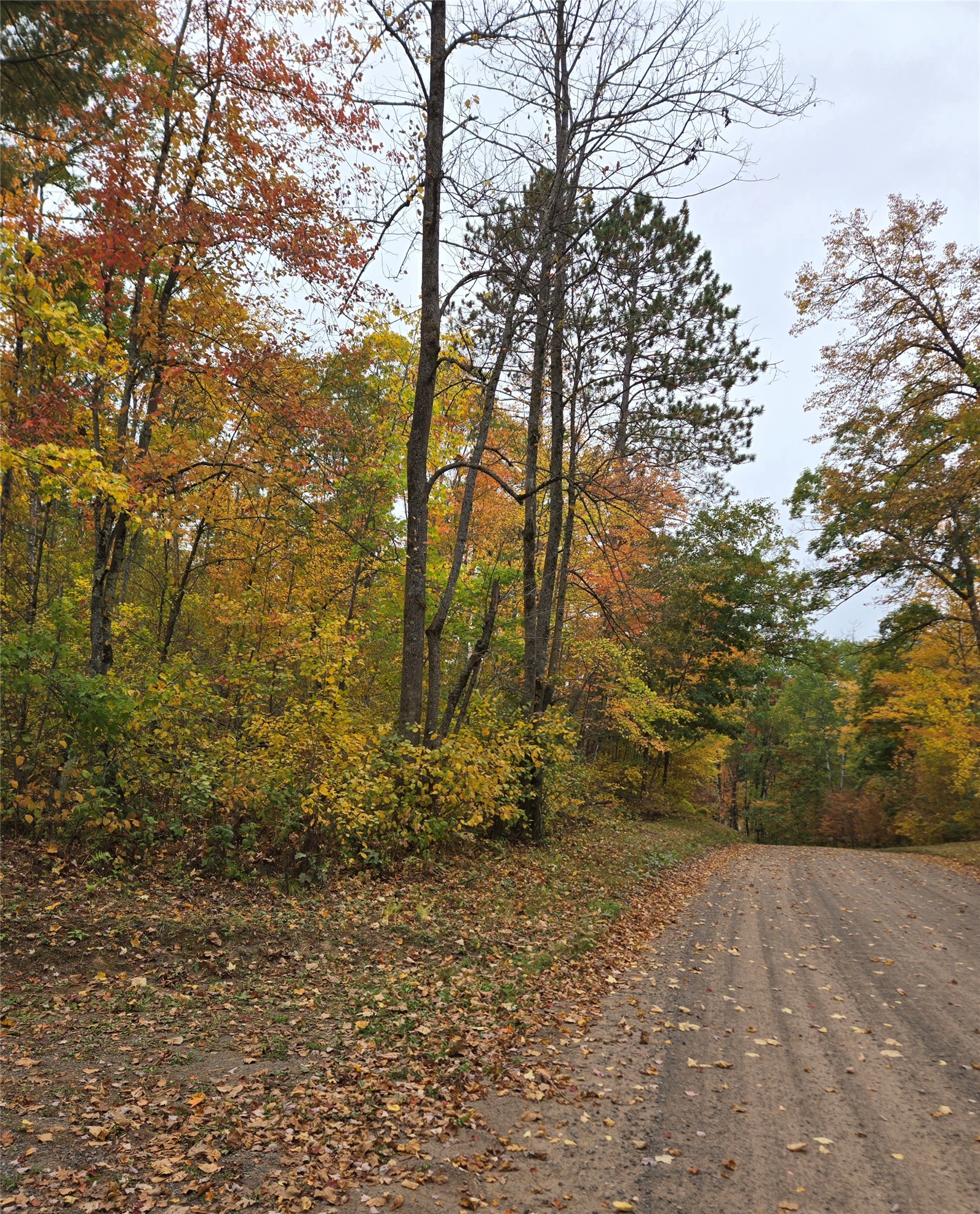 Photo of 16119 W Henks Road, Hayward, WI