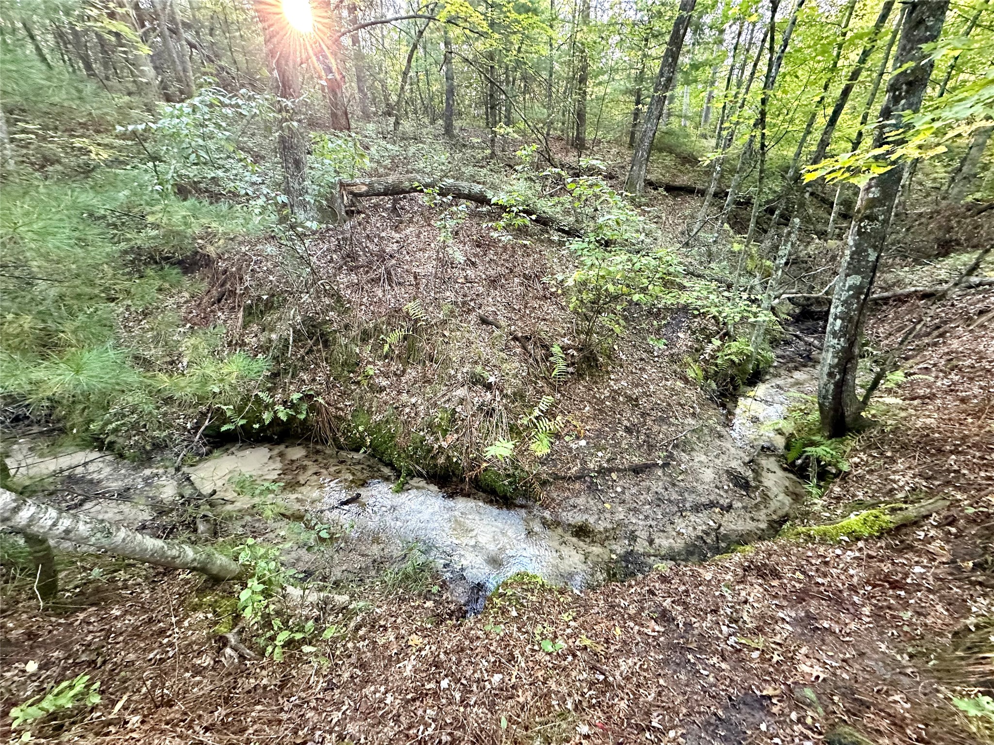 Augusta - Land photo 2 of 34