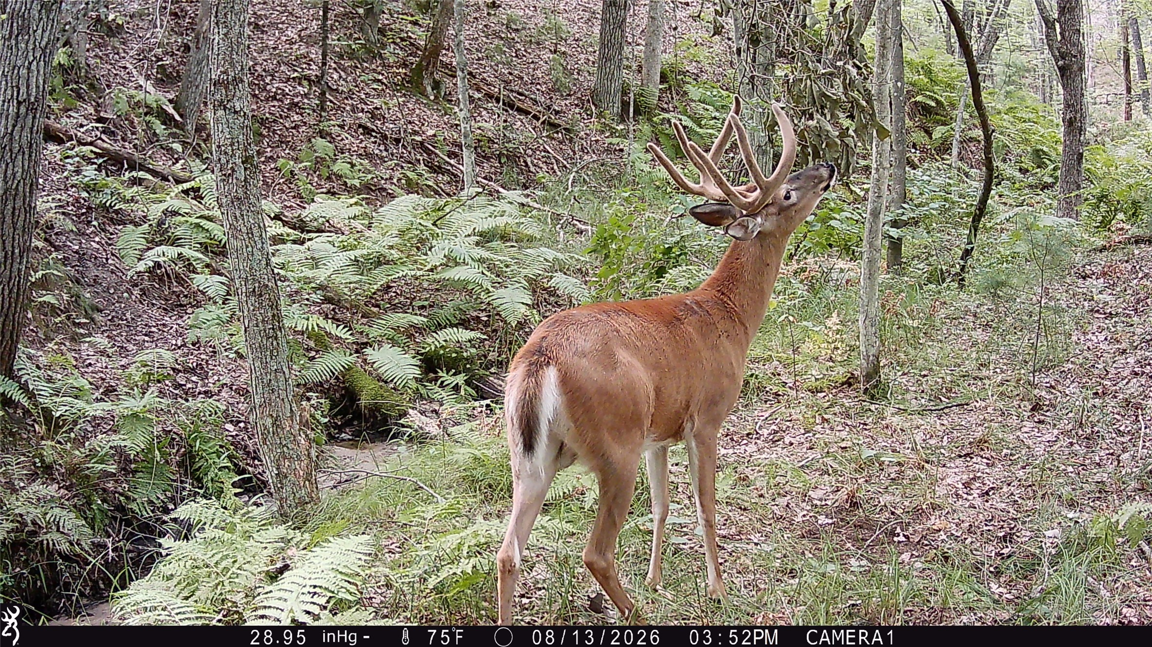 Augusta - Land photo 3 of 34