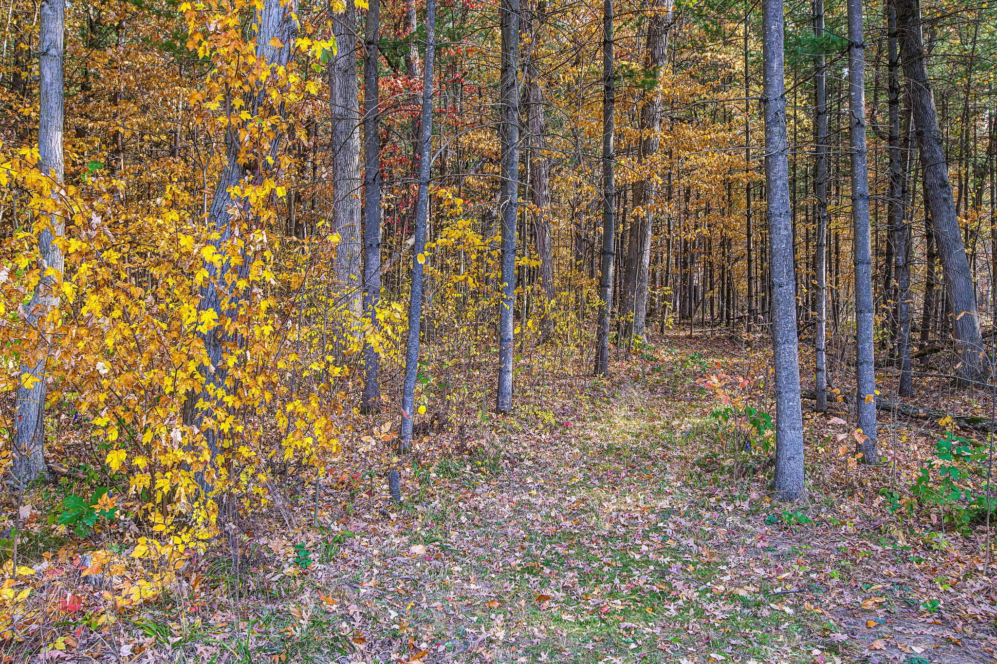 Property Photo #30