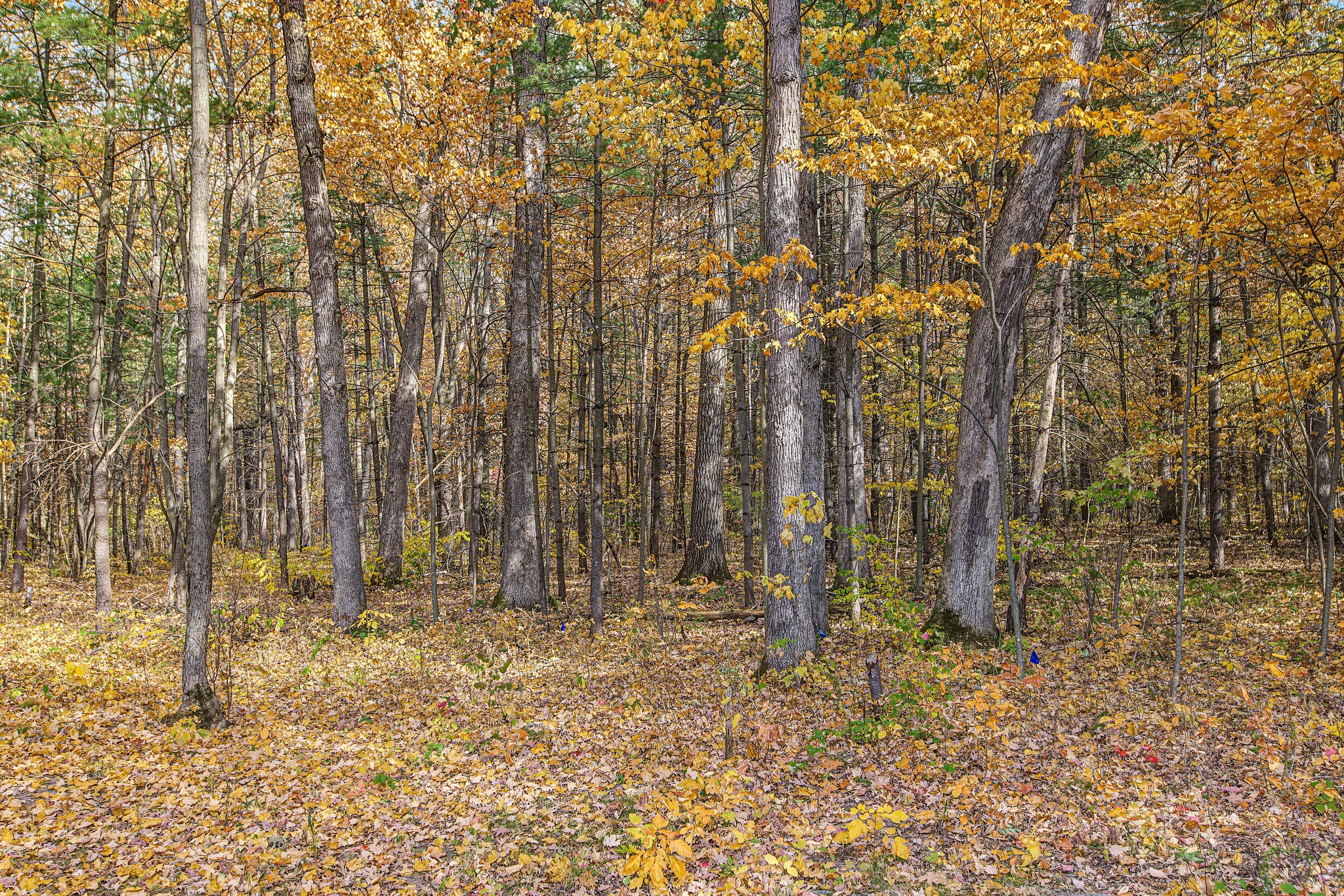 Property Photo #31