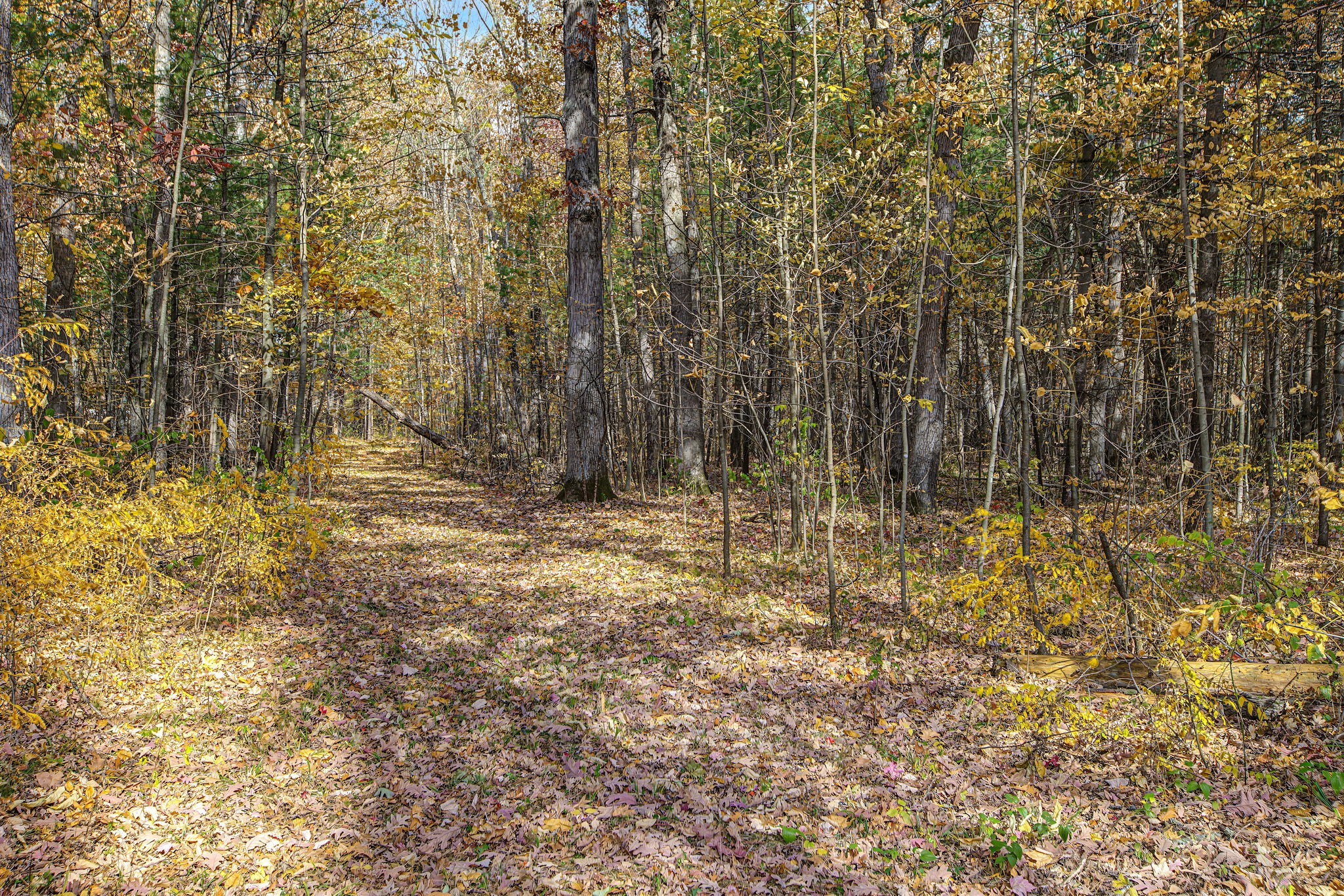 Property Photo #32