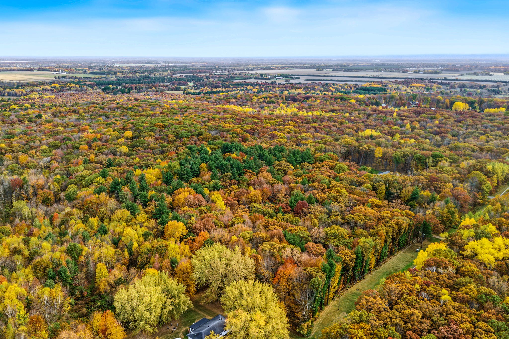 Property Photo #42